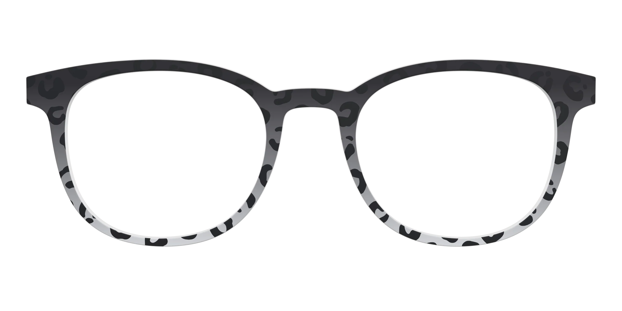 The Black Cheetah - Image 15