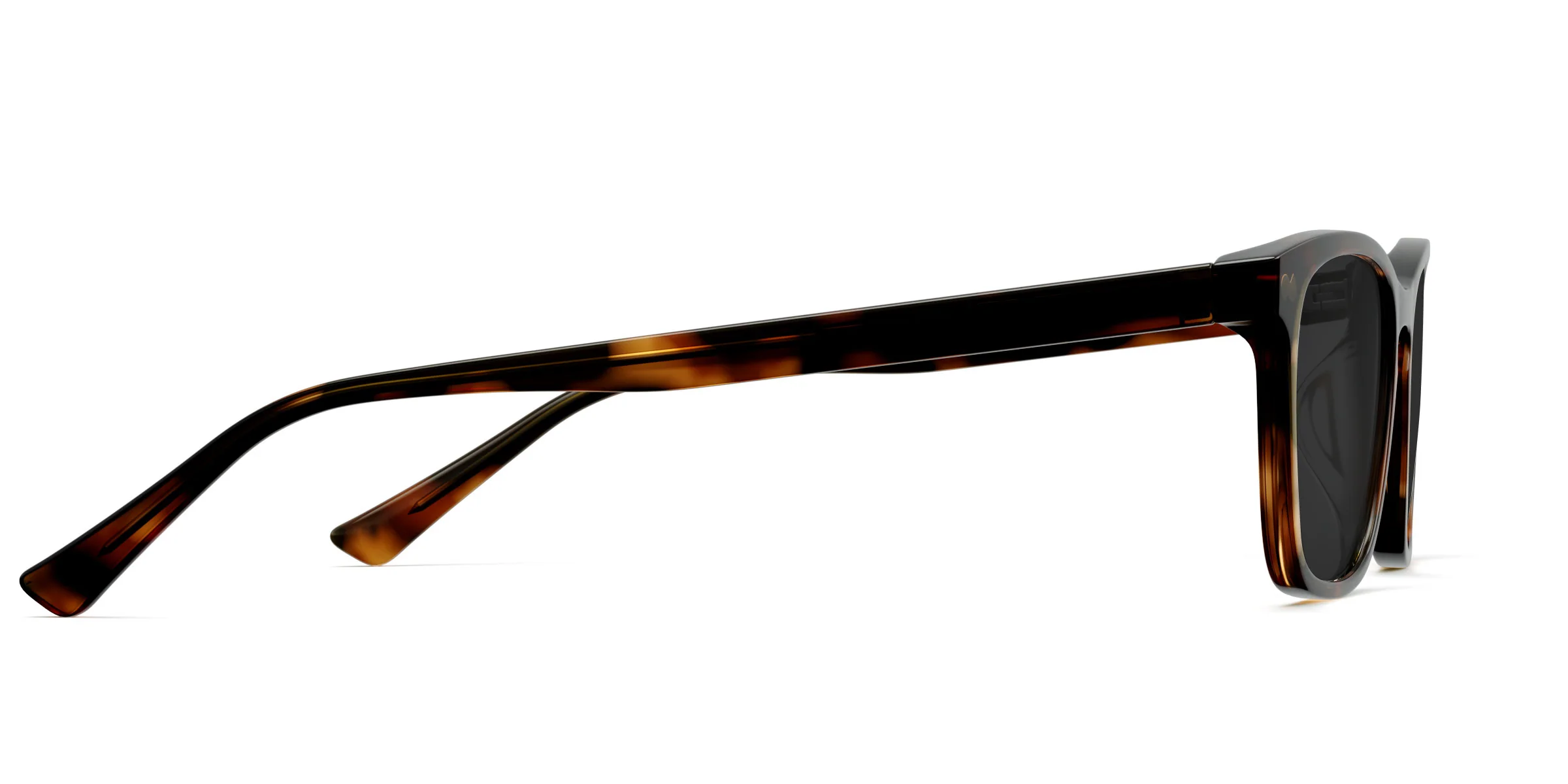 The Casper - Tortoise Sun - Image 5