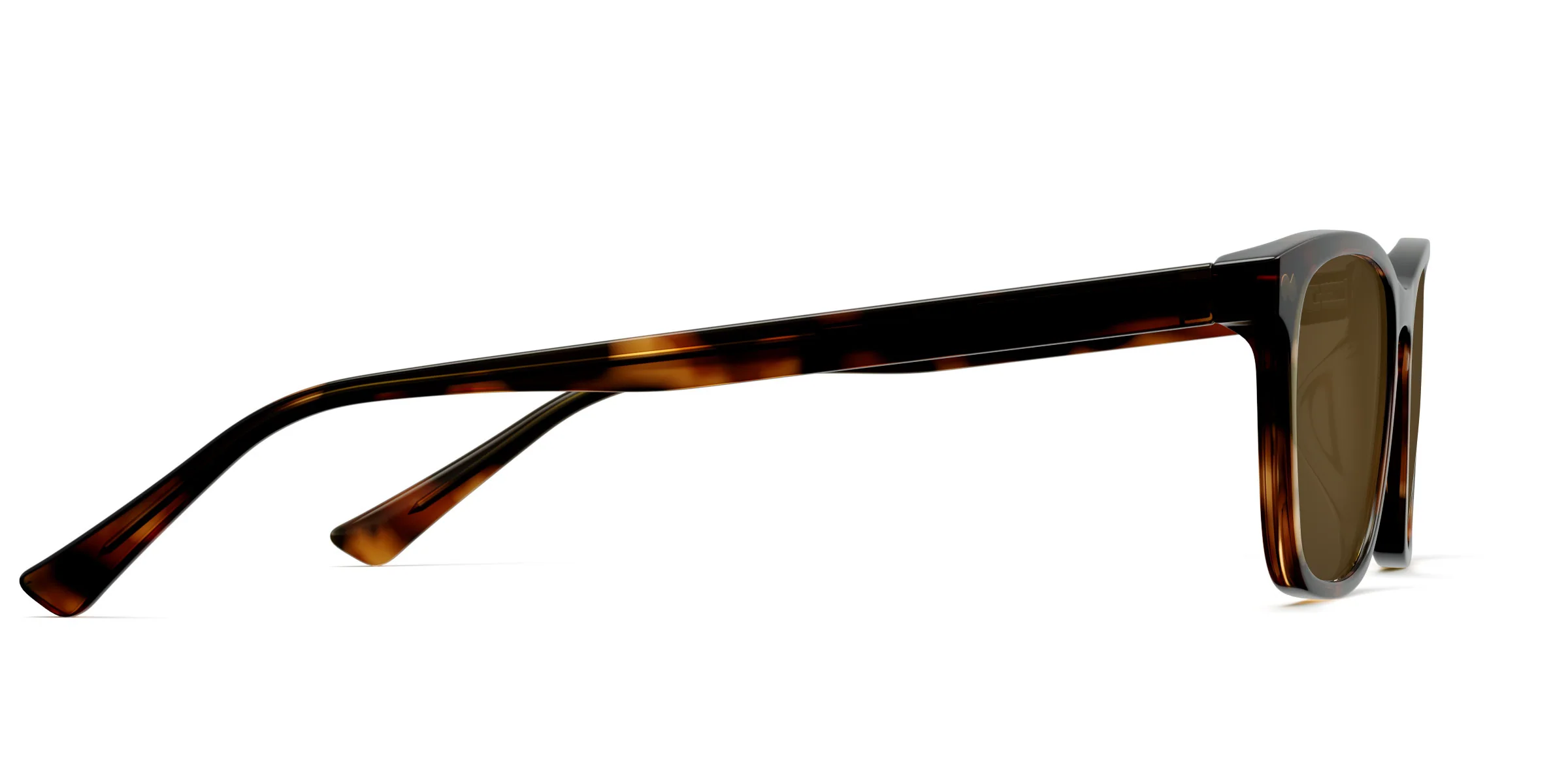 The Casper - Tortoise Sun - Image 6