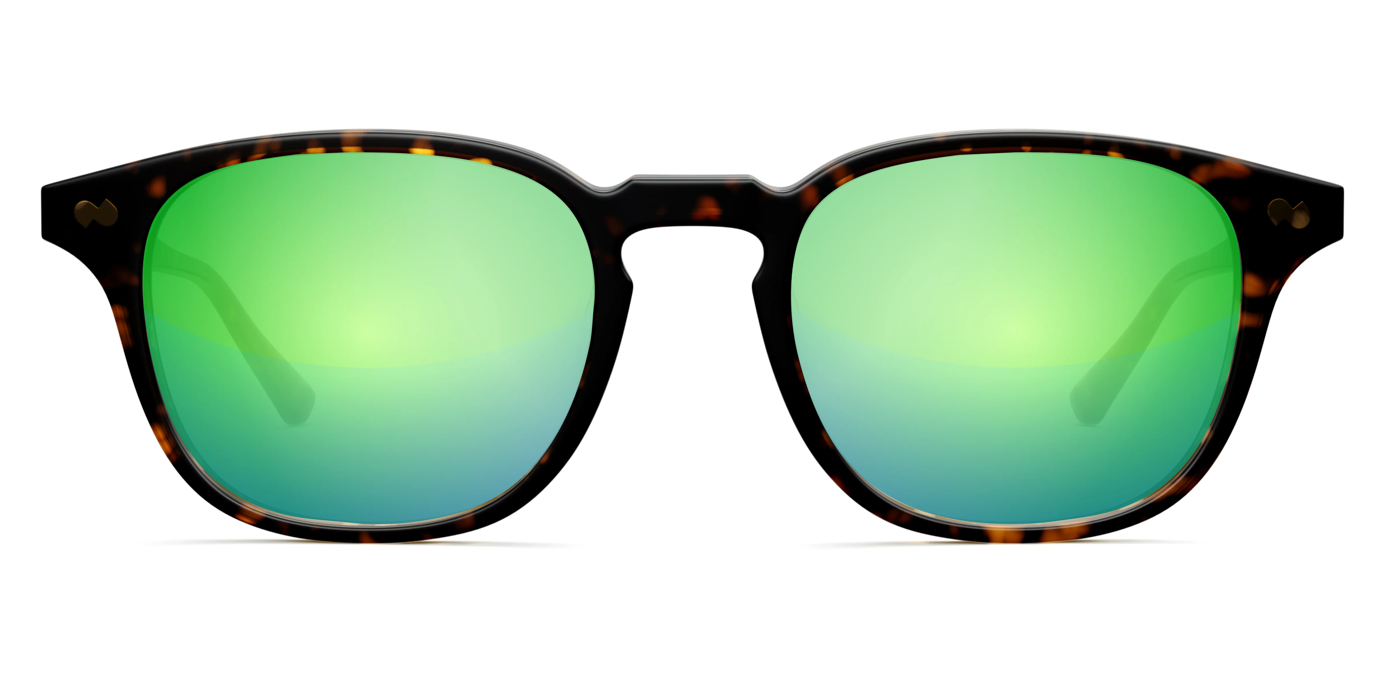 The Otis - Tortoise - Image 10