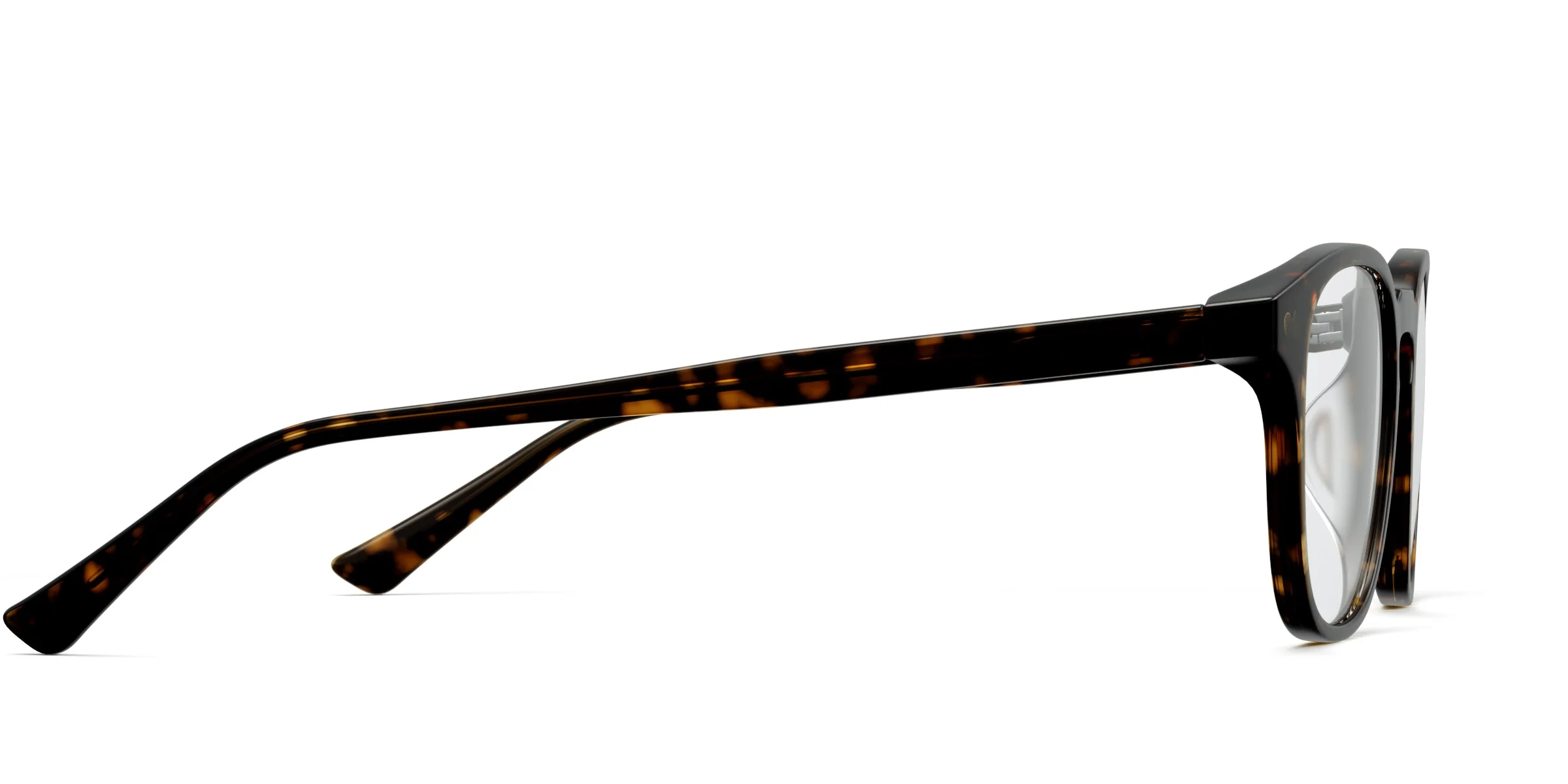 The Otis - Tortoise - Image 3