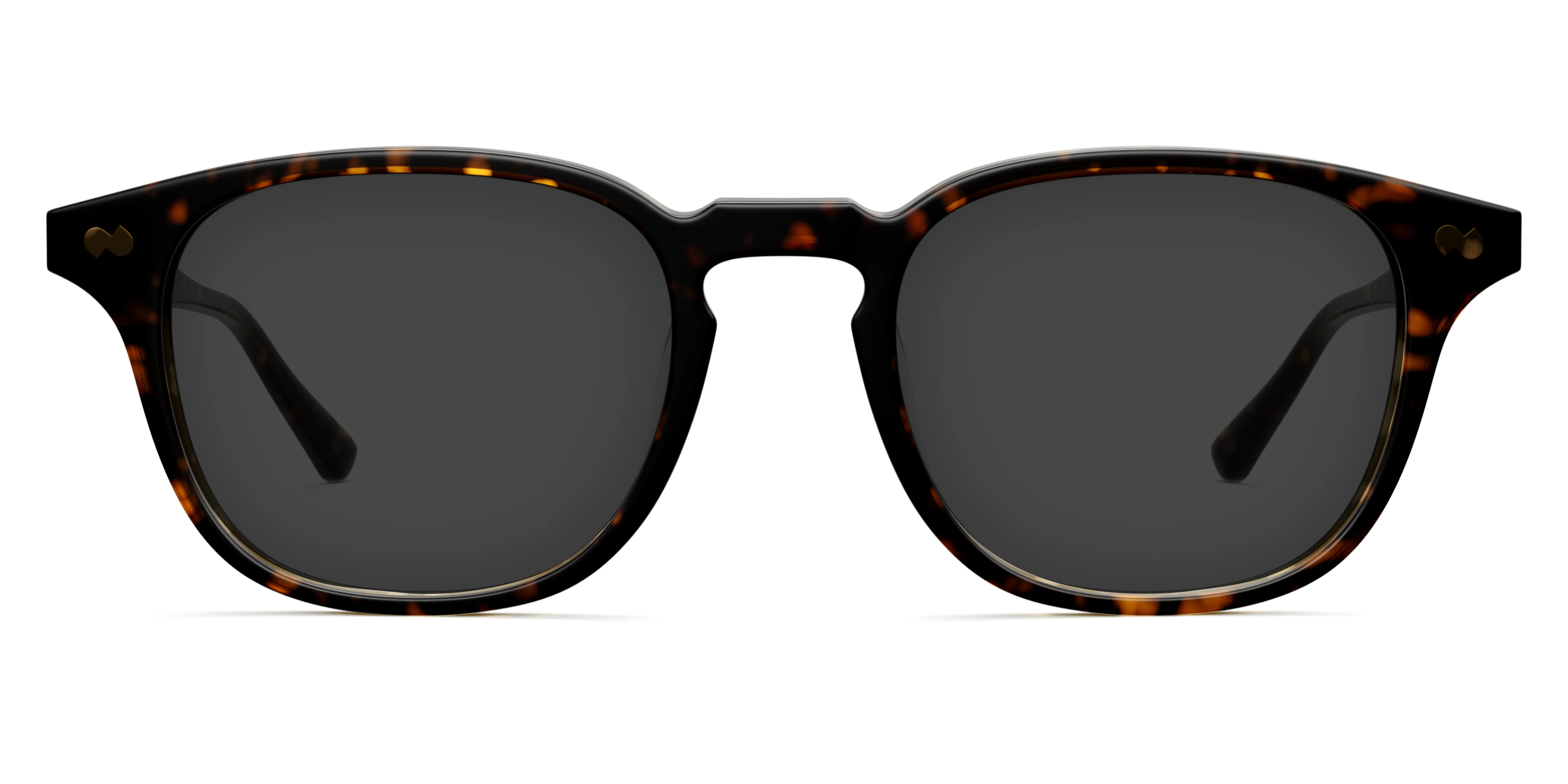 The Otis - Tortoise - Image 4