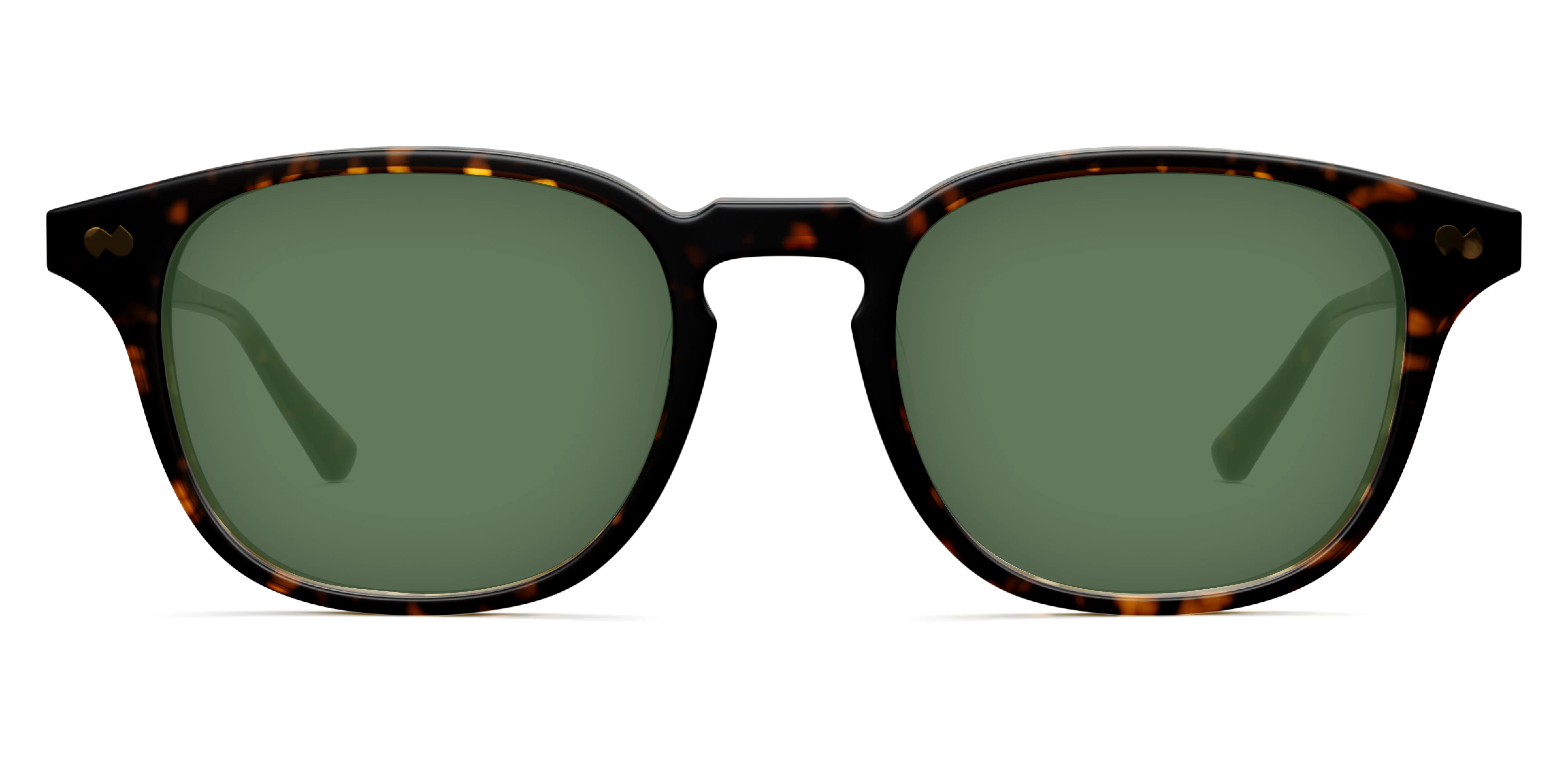 The Otis - Tortoise - Image 6