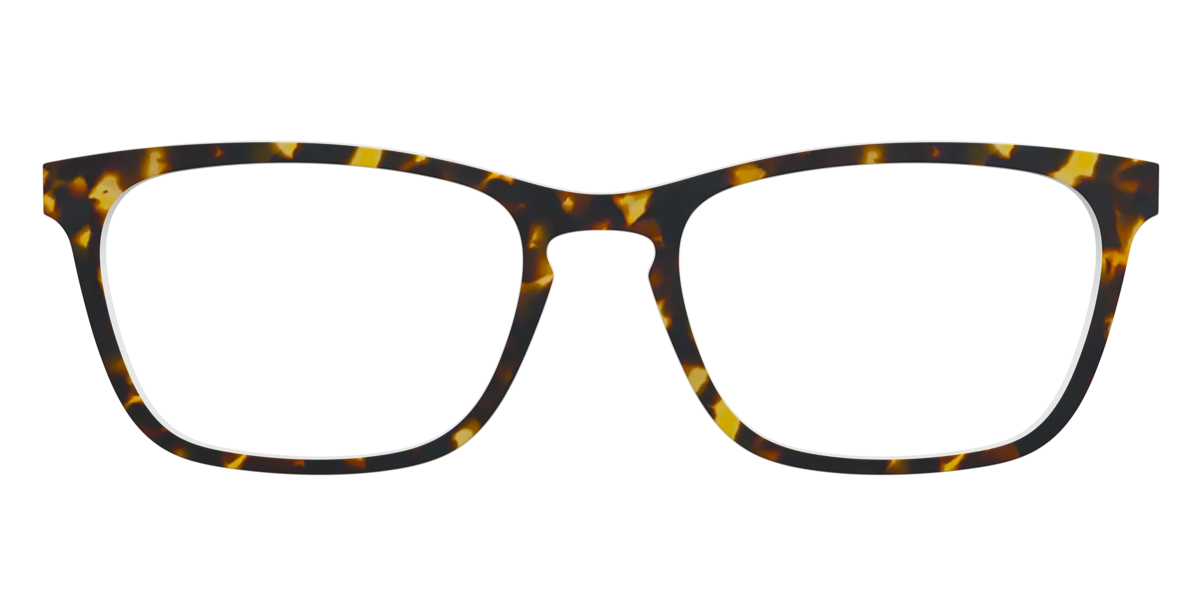 The Tortoise - Image 13