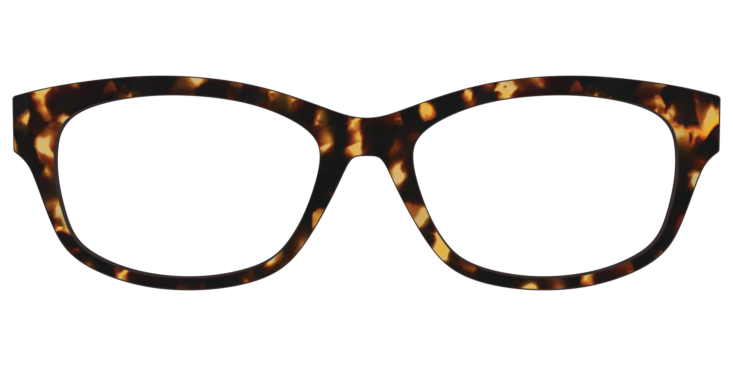 The Tortoise - Image 30