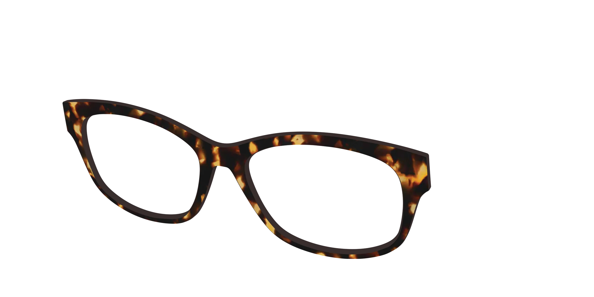 The Tortoise - Image 31