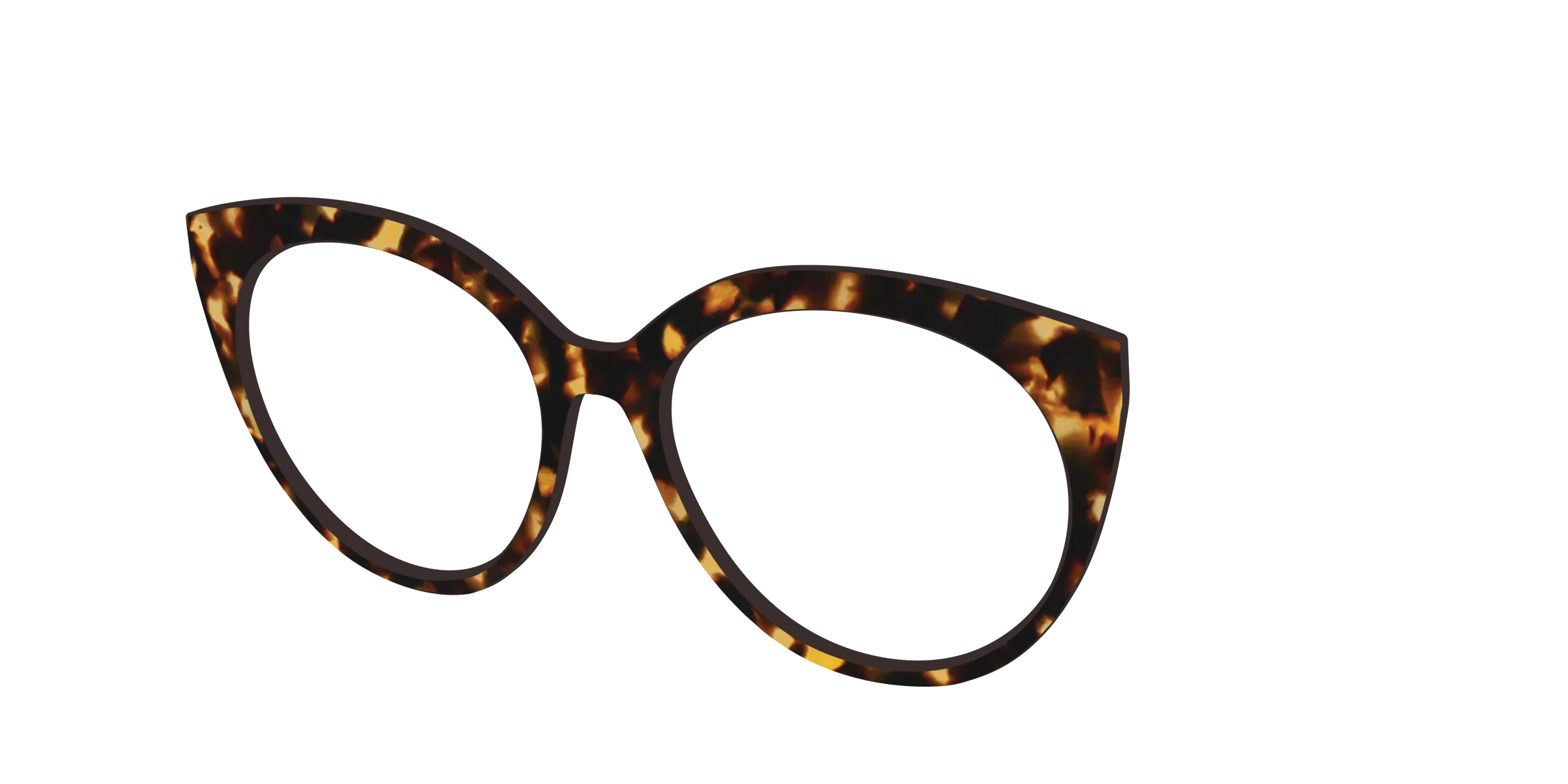 The Tortoise - Image 35