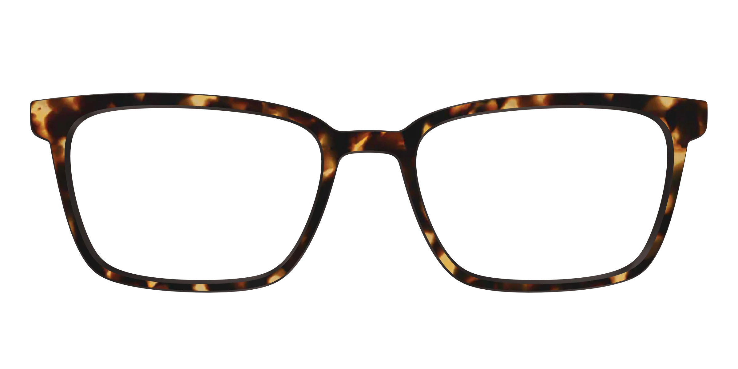 The Tortoise - Image 36
