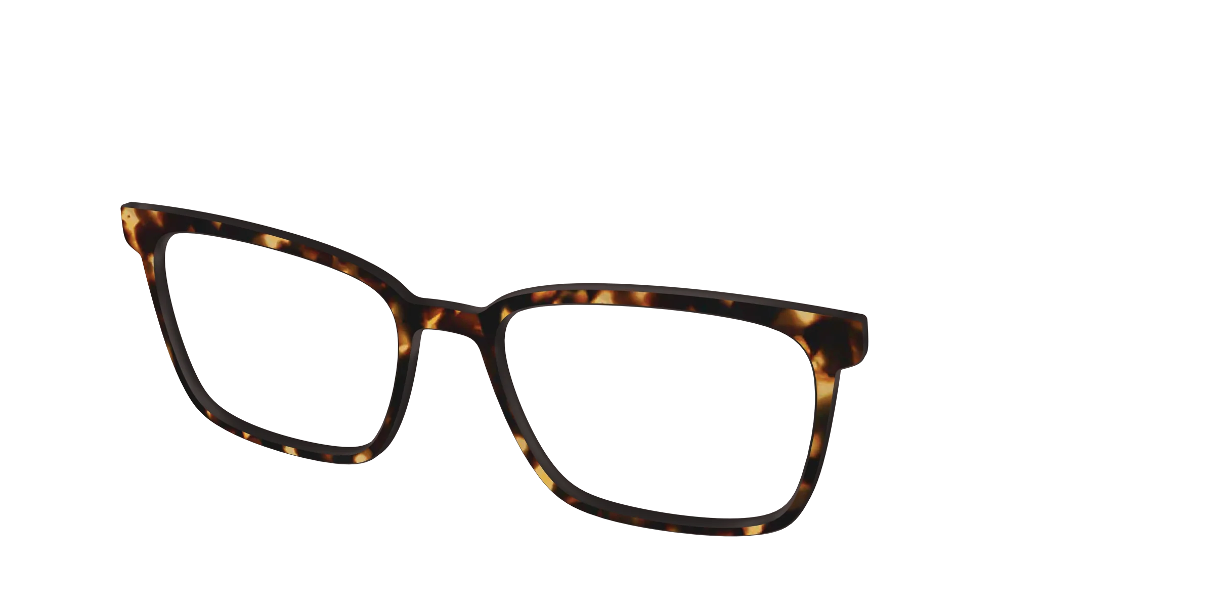 The Tortoise - Image 37