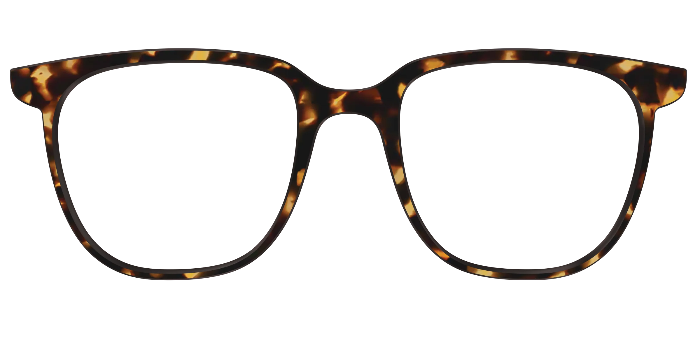 The Tortoise - Image 38