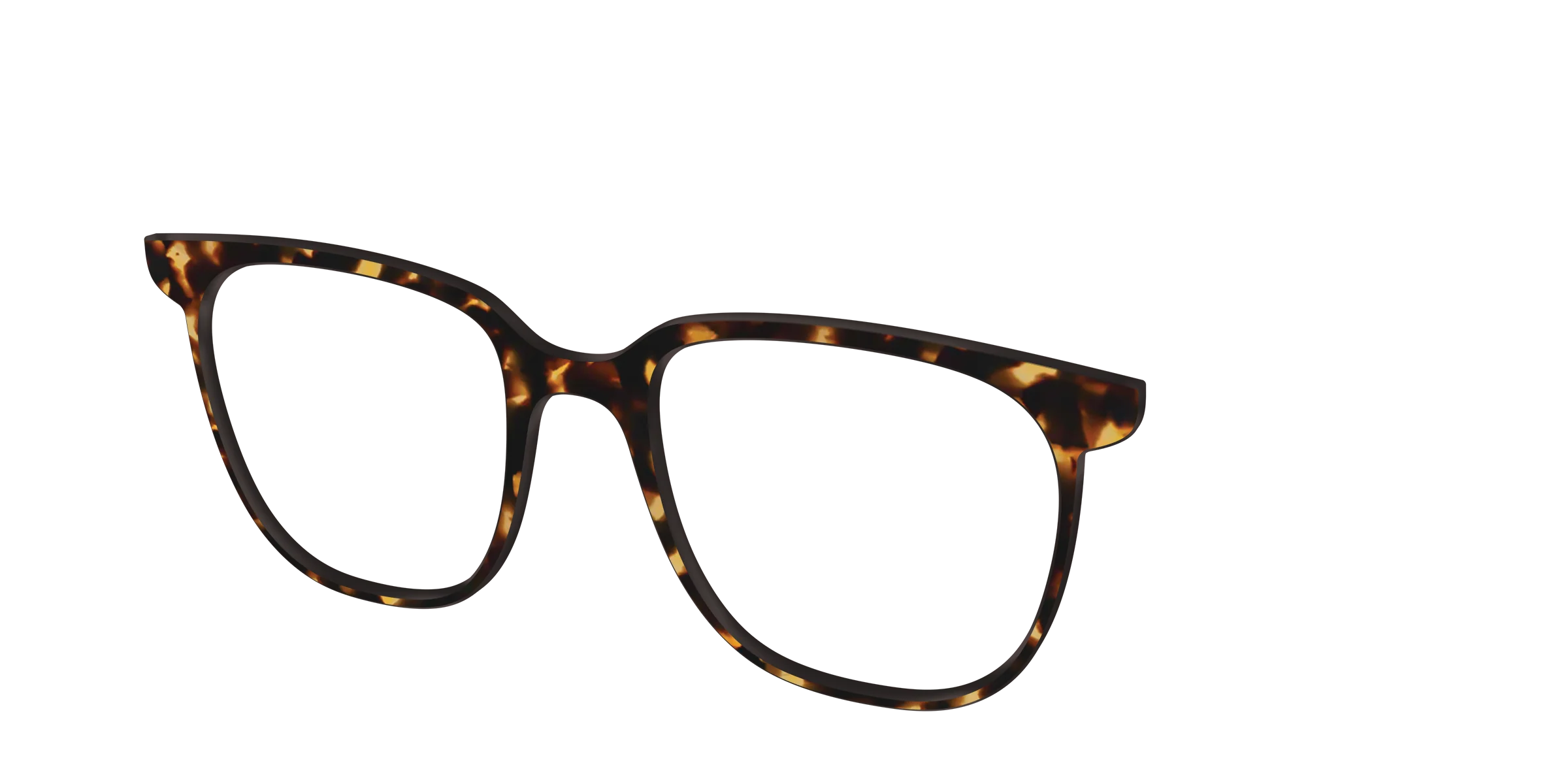 The Tortoise - Image 39