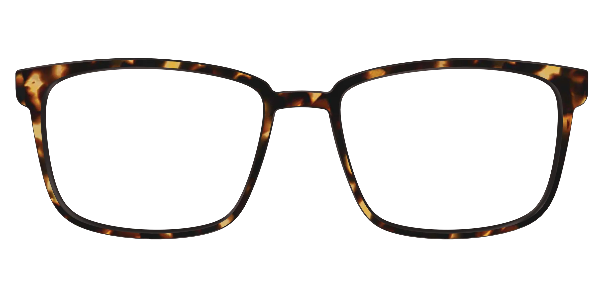 The Tortoise - Image 40