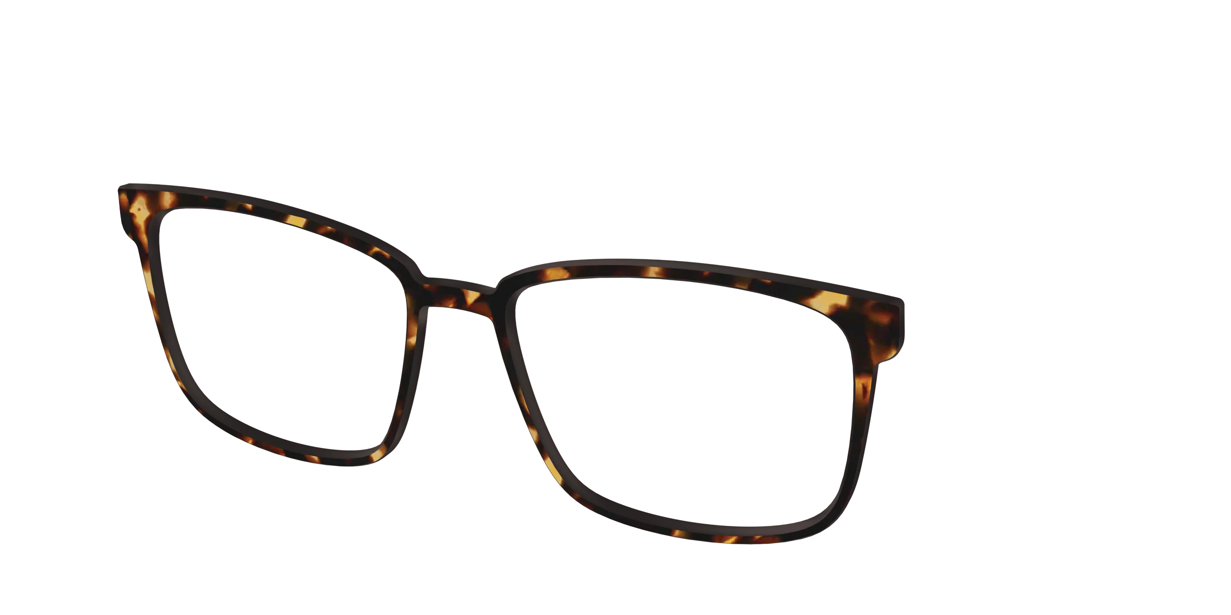 The Tortoise - Image 41