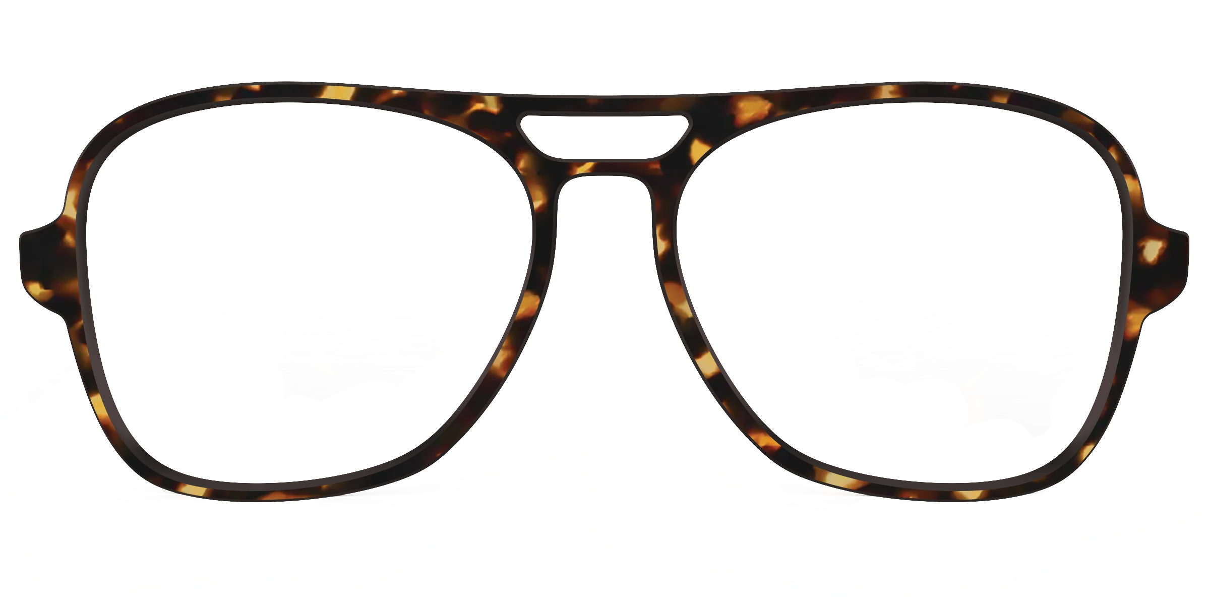 The Tortoise - Image 42