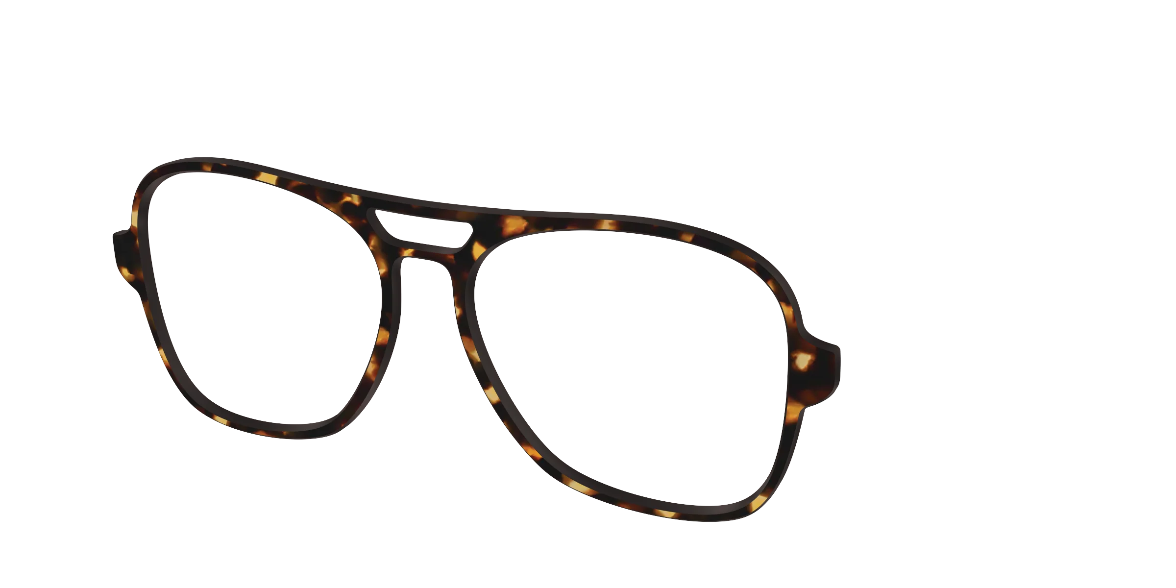 The Tortoise - Image 43