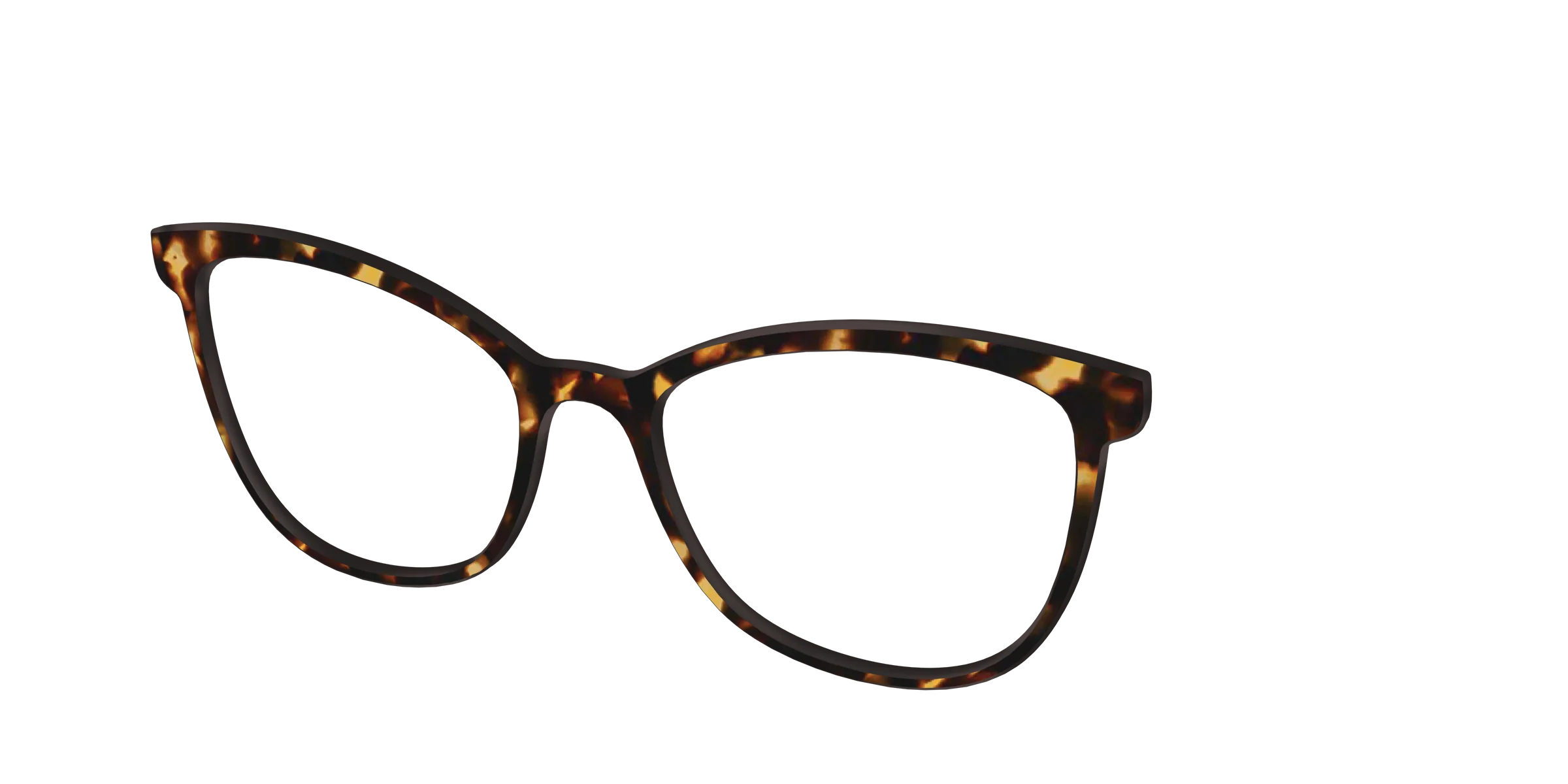 The Tortoise - Image 45