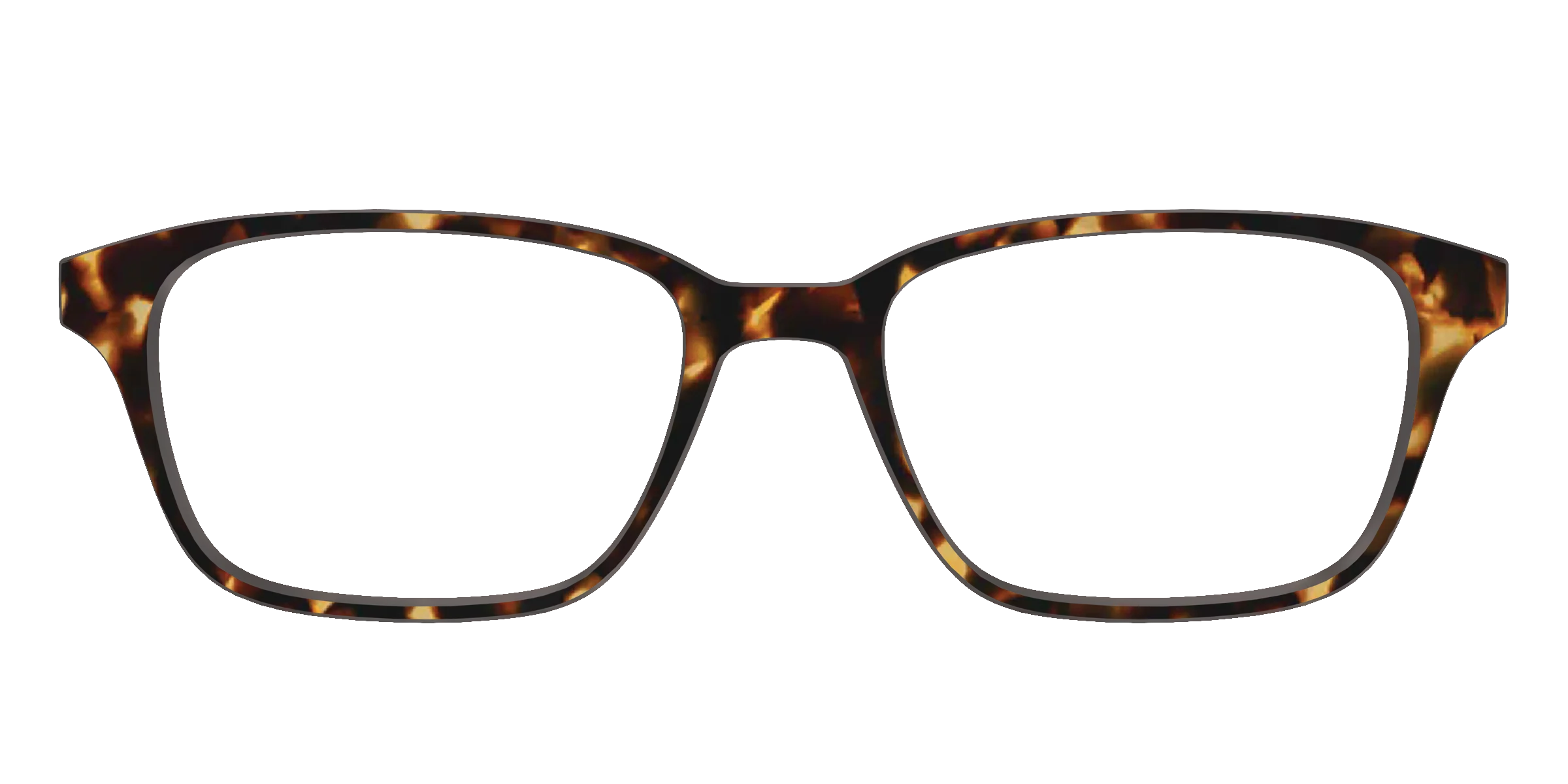 The Tortoise - Image 46
