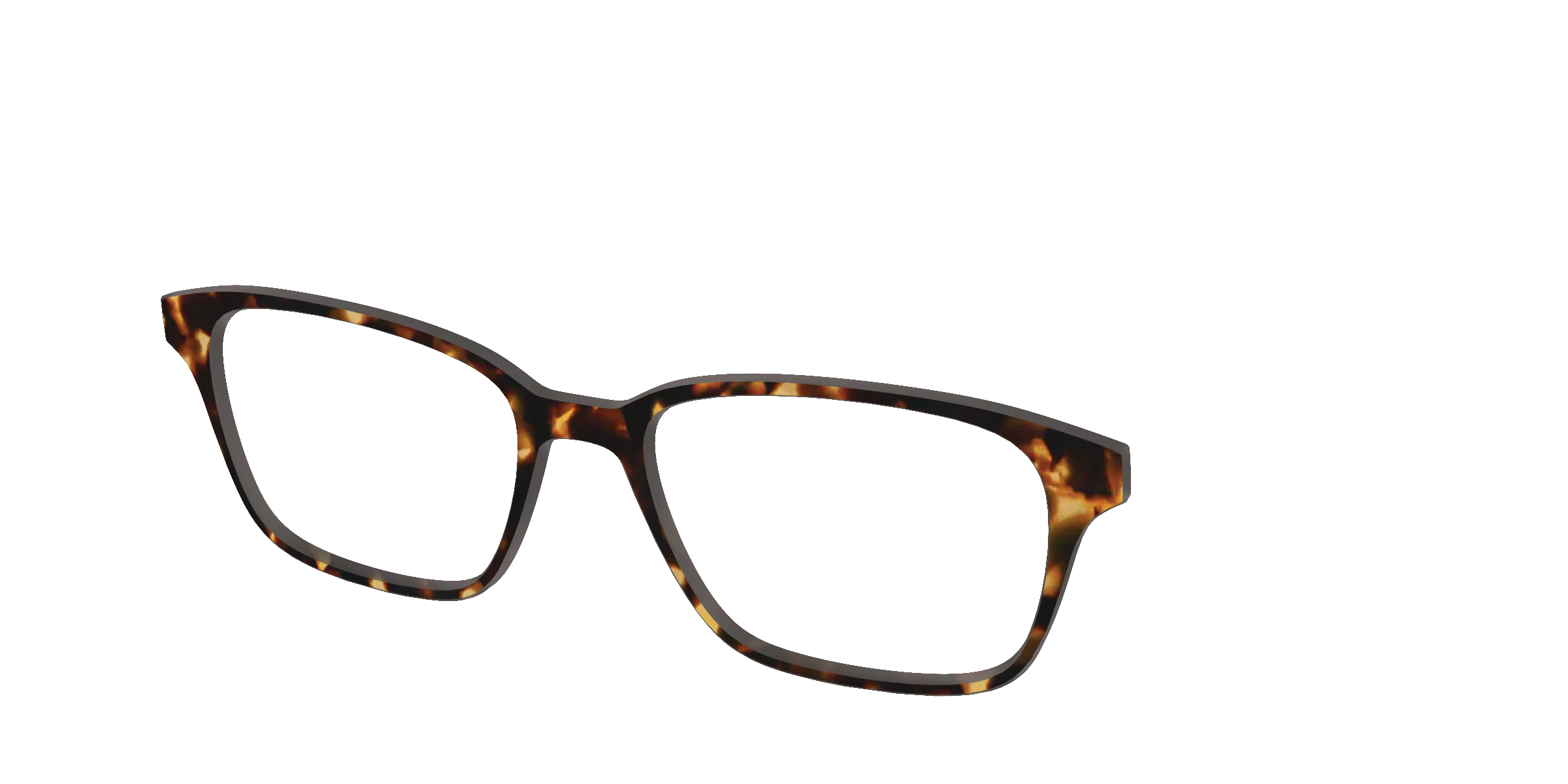 The Tortoise - Image 47