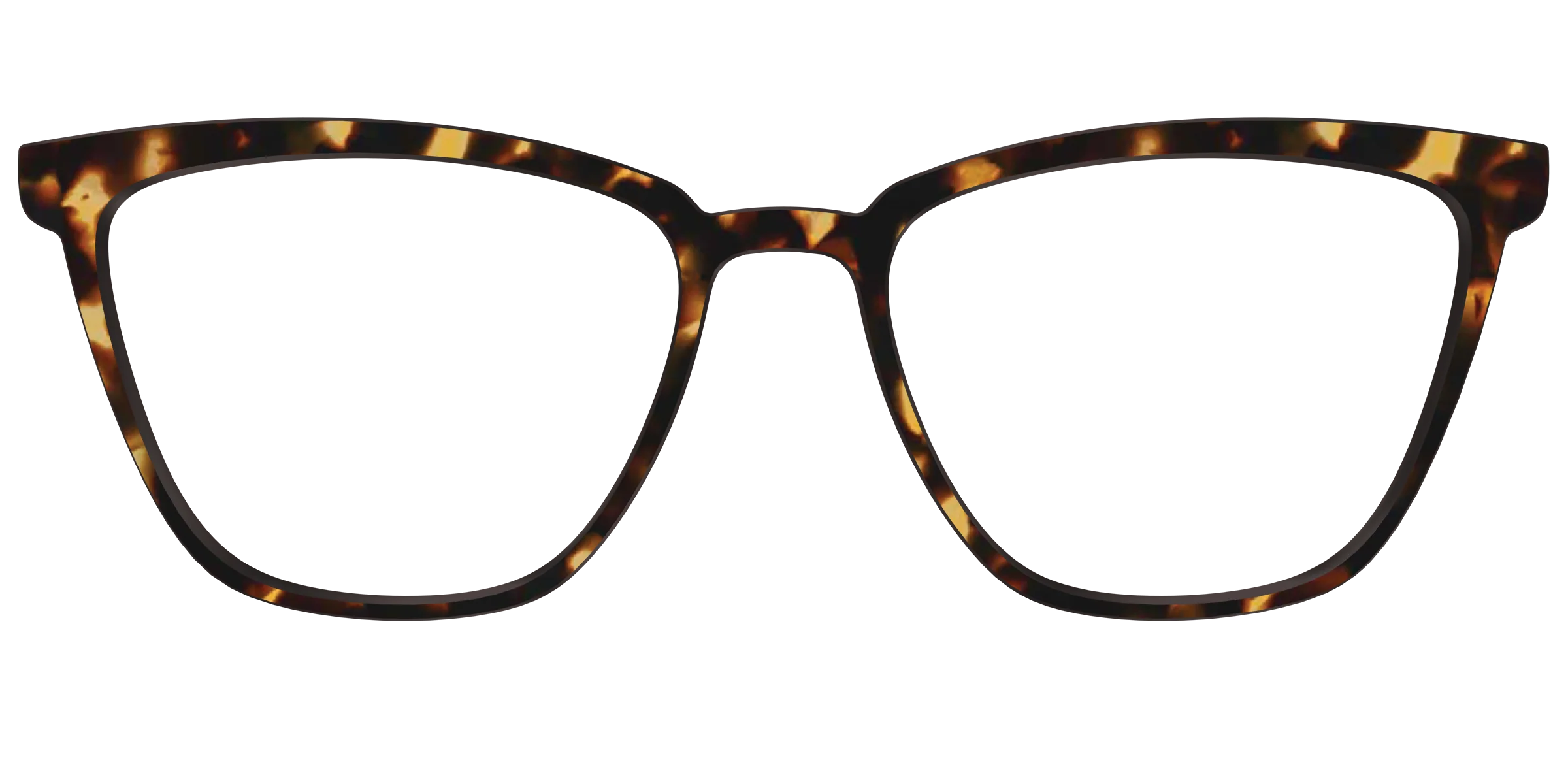 The Tortoise - Image 48