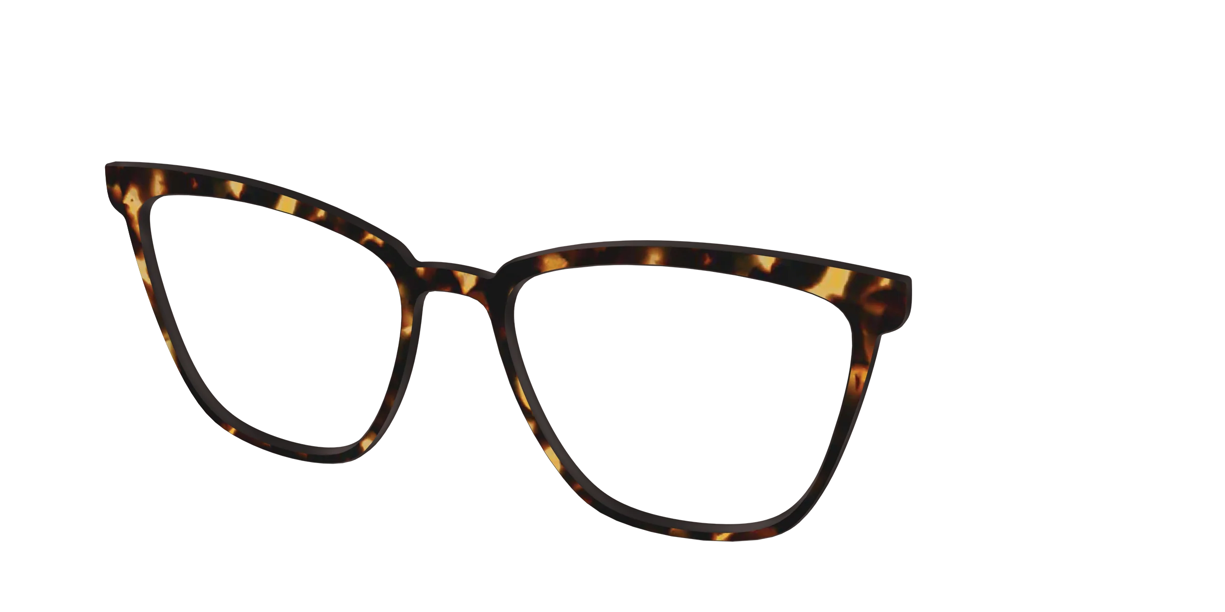 The Tortoise - Image 49