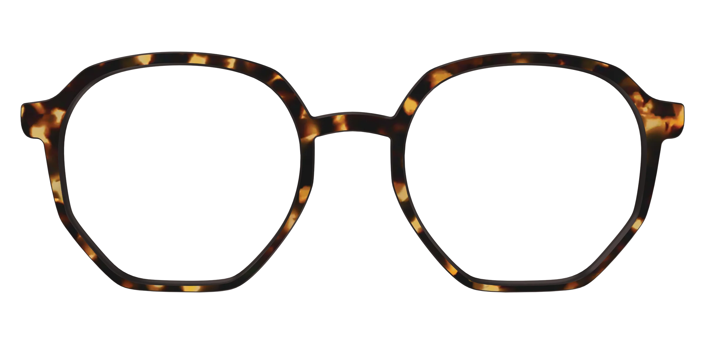 The Tortoise - Image 50