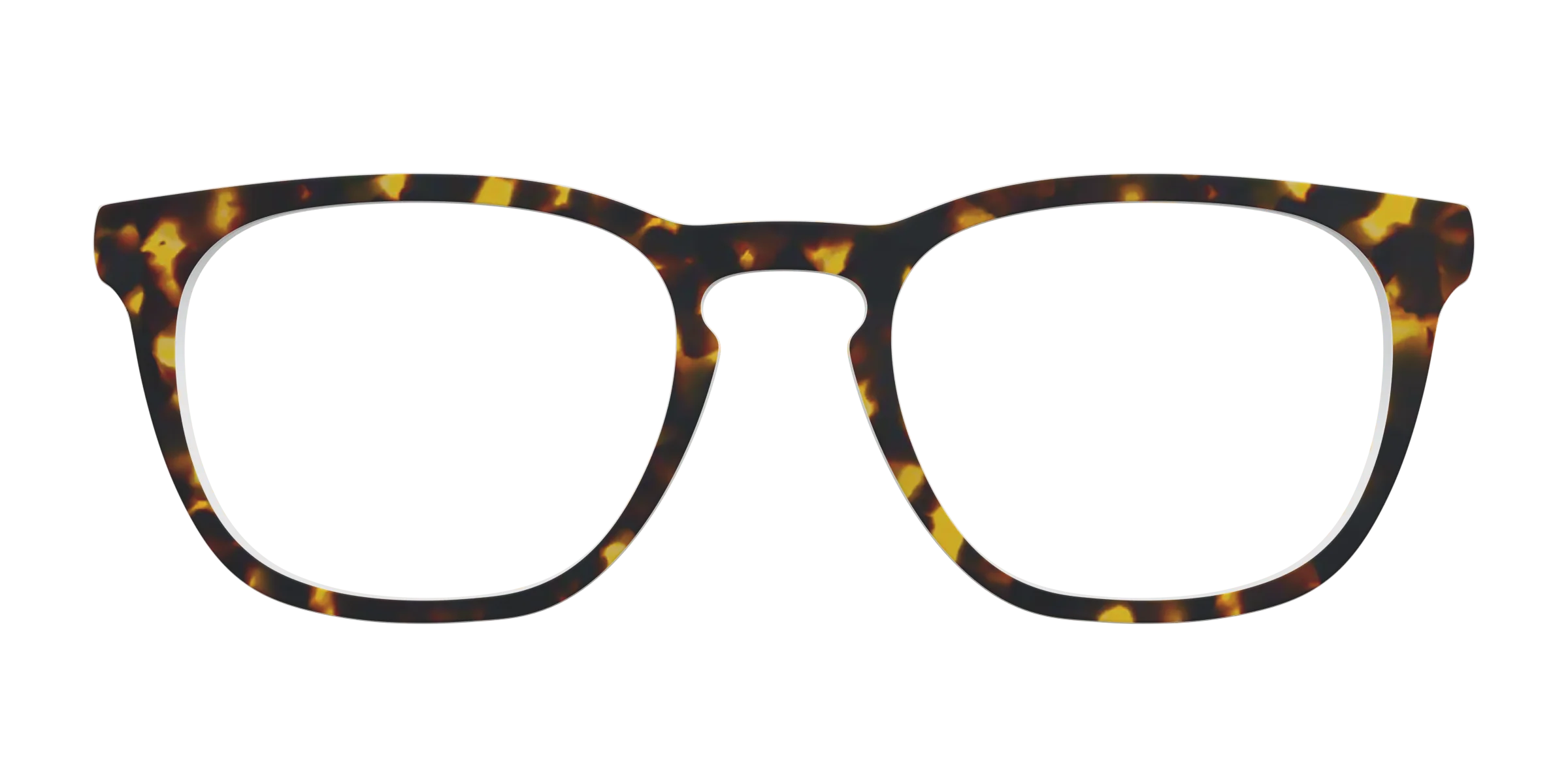 The Tortoise - Image 7