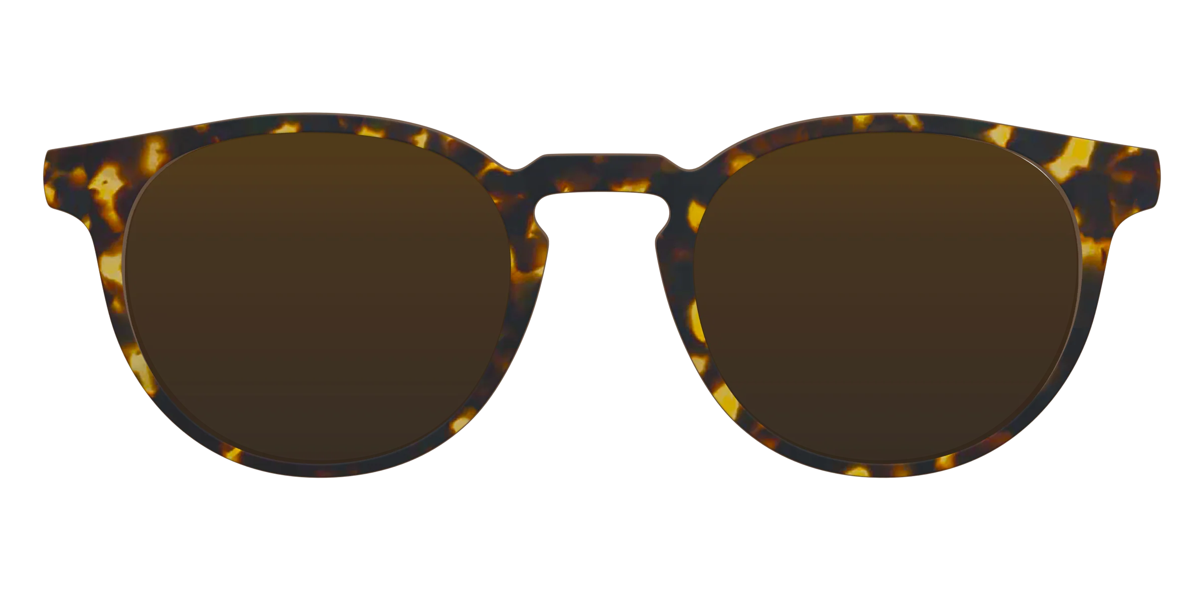 The Polarized Tortoise Sun Top - Image 10