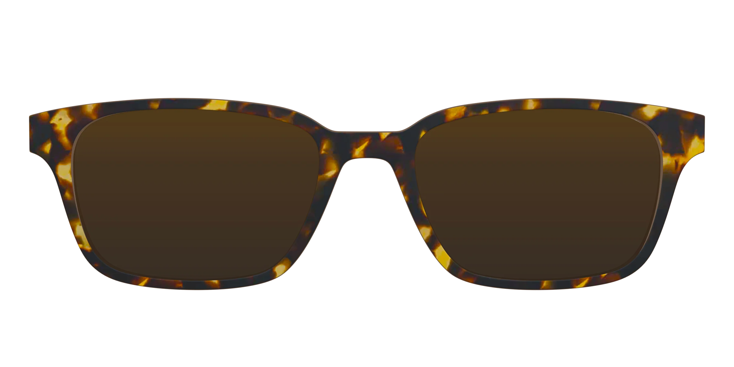 The Polarized Tortoise Sun Top - Image 11