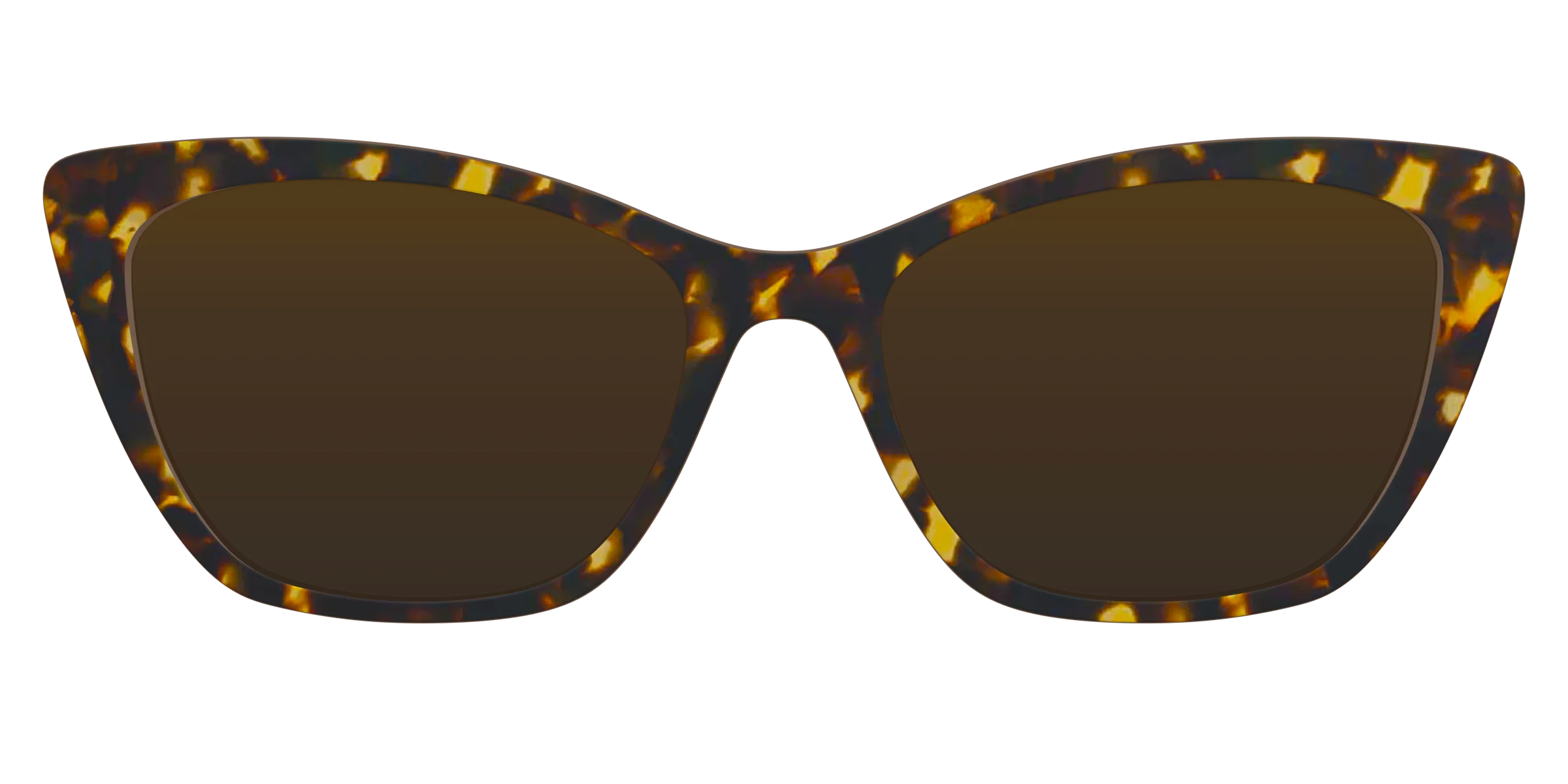 The Polarized Tortoise Sun Top - Image 13