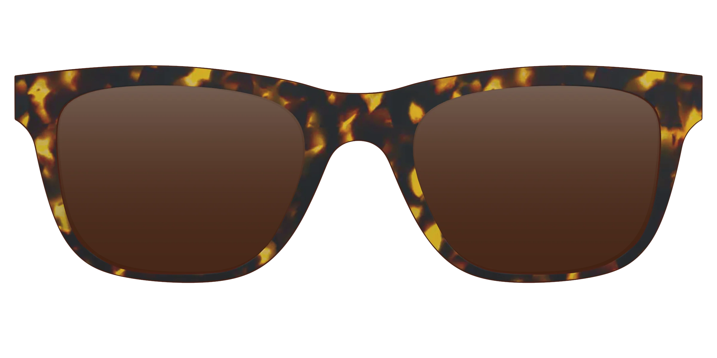 The Polarized Tortoise Sun Top - Image 14