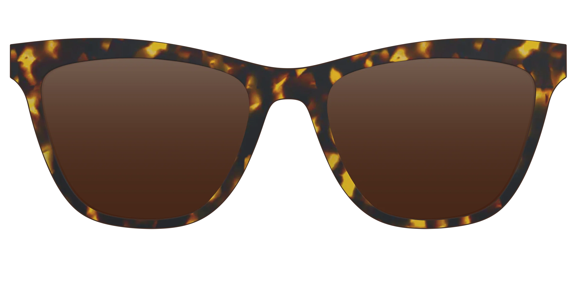 The Polarized Tortoise Sun Top - Image 15