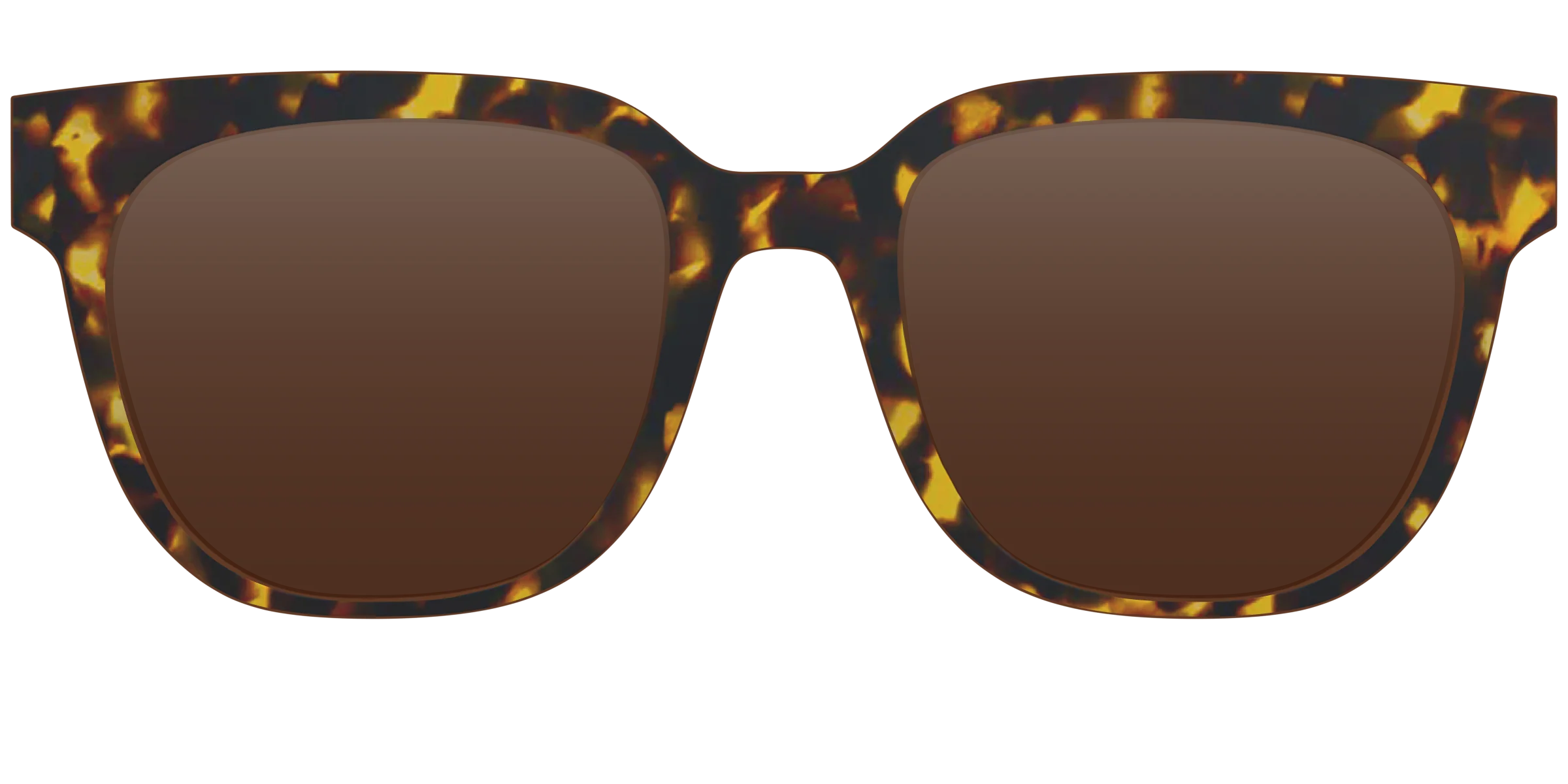 The Polarized Tortoise Sun Top - Image 16