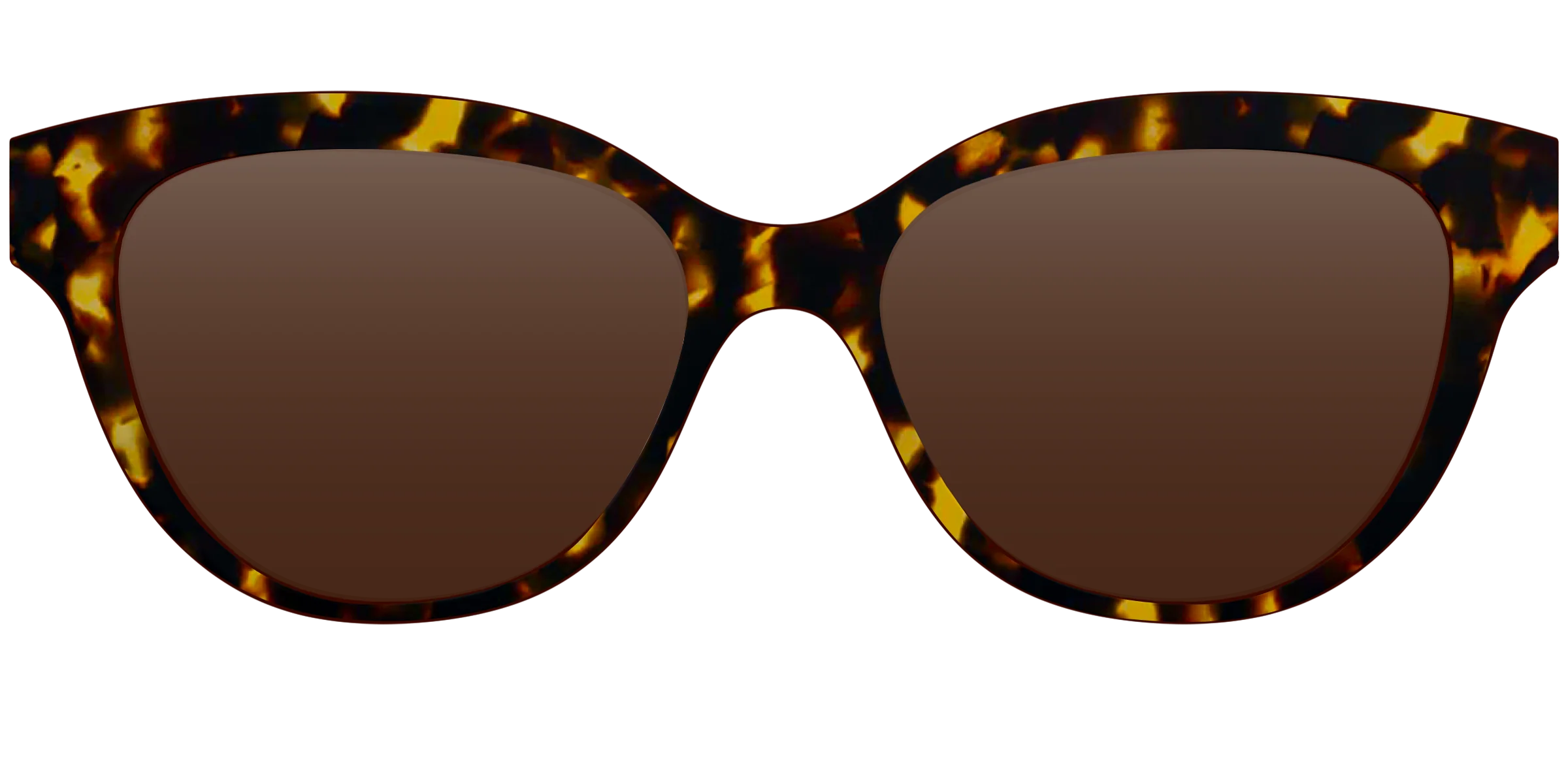 The Polarized Tortoise Sun Top - Image 17