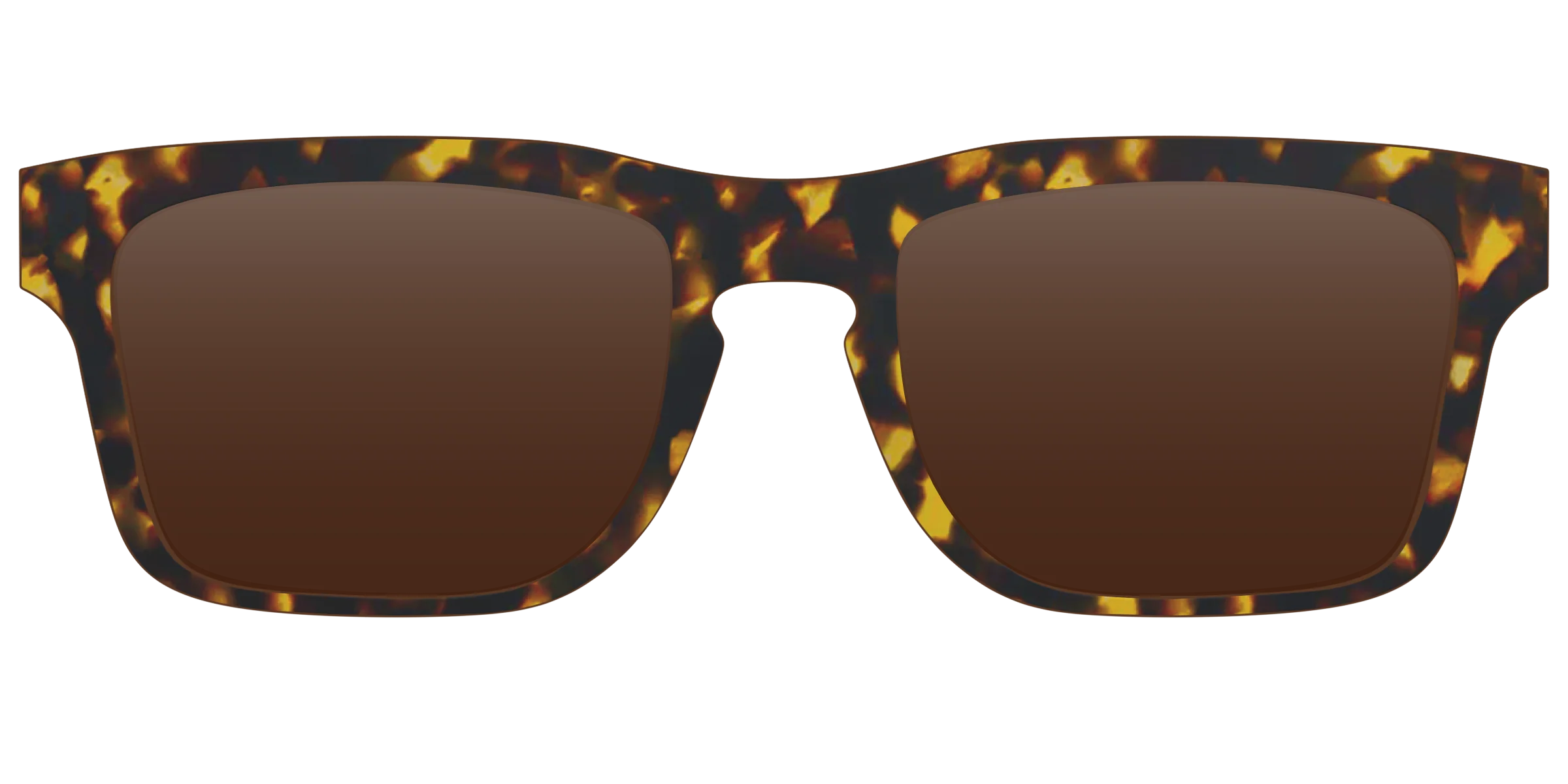 The Polarized Tortoise Sun Top - Image 18