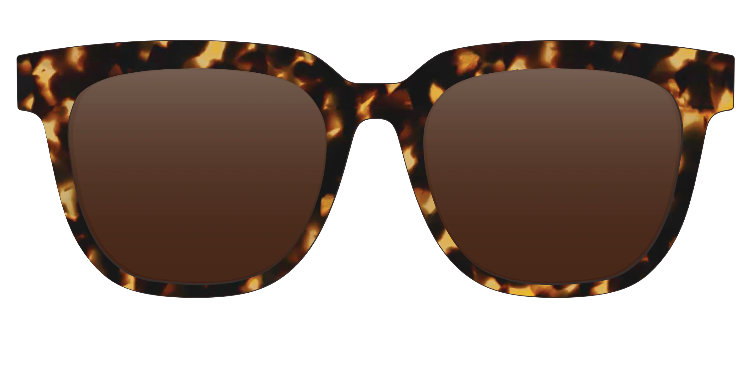 The Polarized Tortoise Sun Top - Image 19