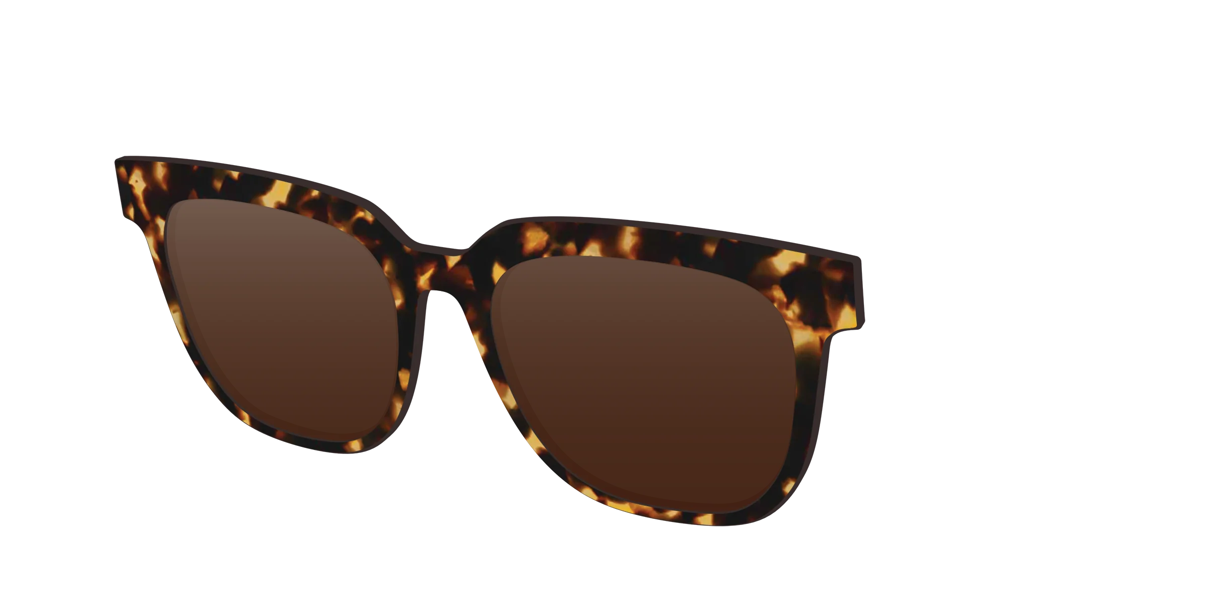 The Polarized Tortoise Sun Top - Image 20