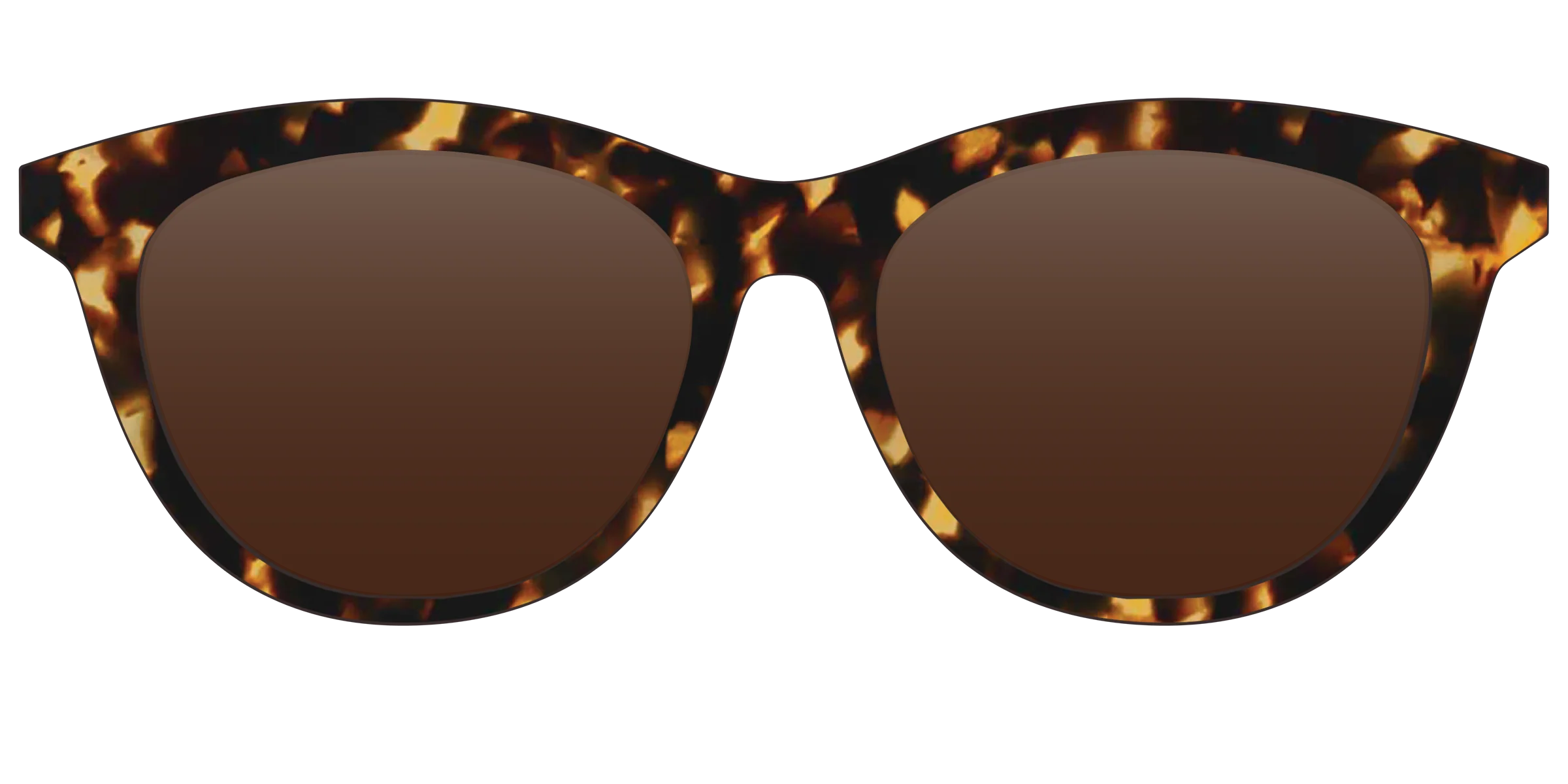 The Polarized Tortoise Sun Top - Image 23