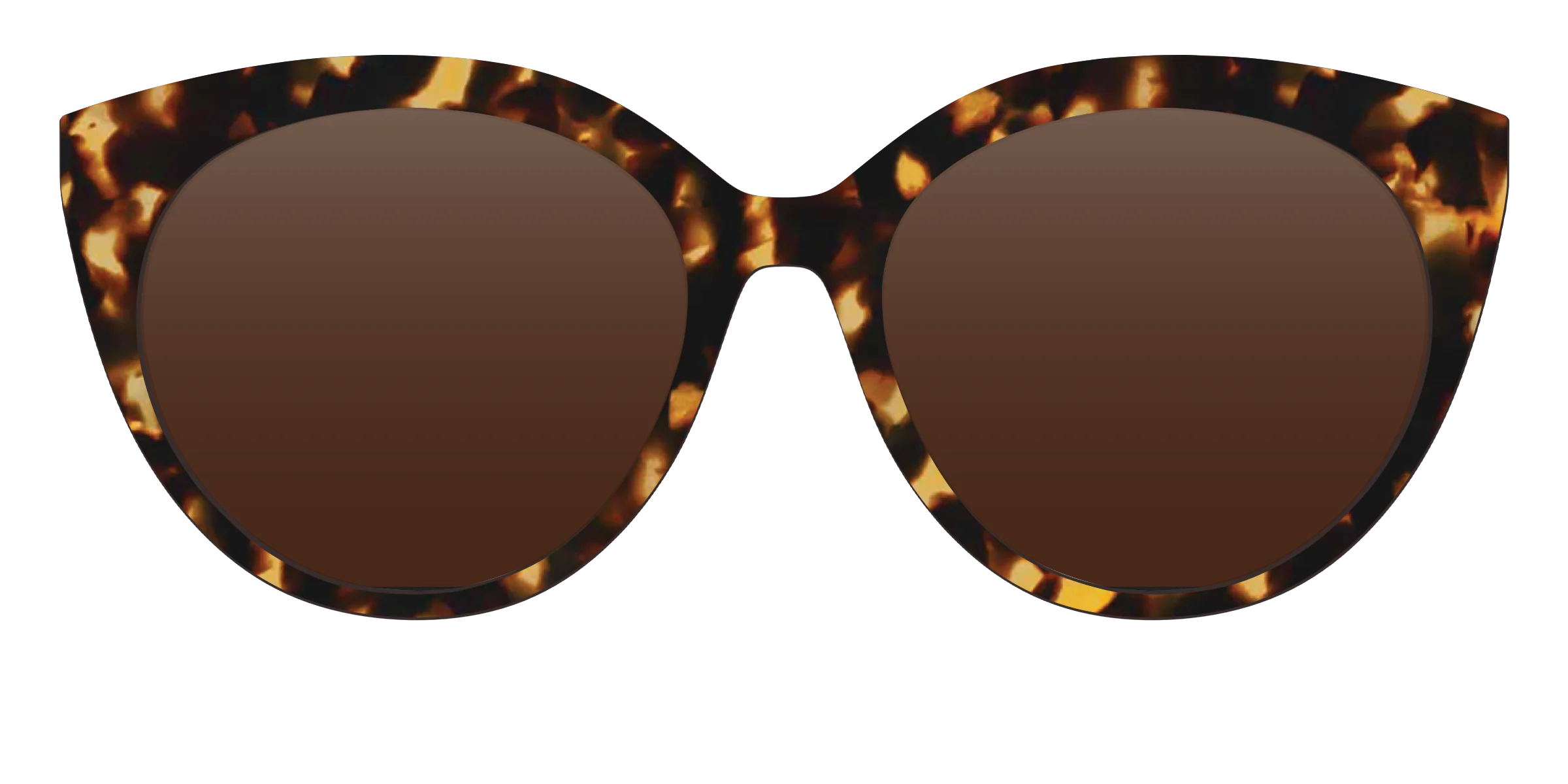 The Polarized Tortoise Sun Top - Image 25