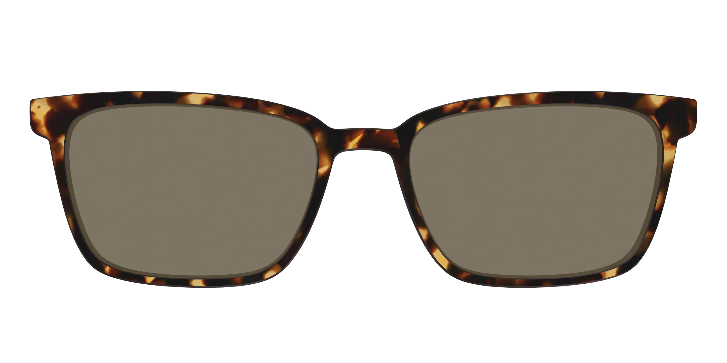 The Polarized Tortoise Sun Top - Image 27