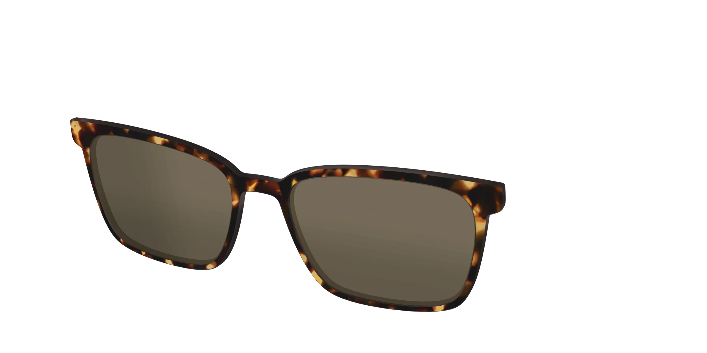 The Polarized Tortoise Sun Top - Image 28
