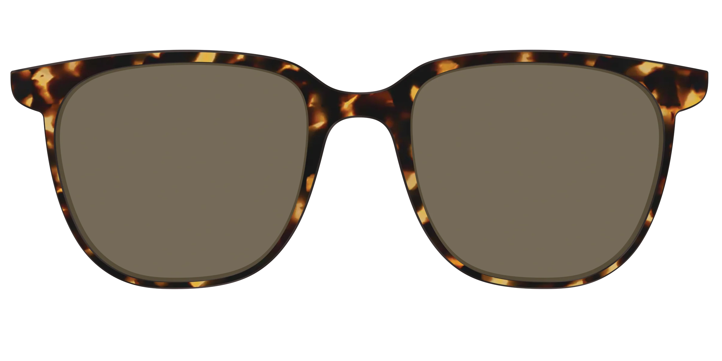 The Polarized Tortoise Sun Top - Image 29