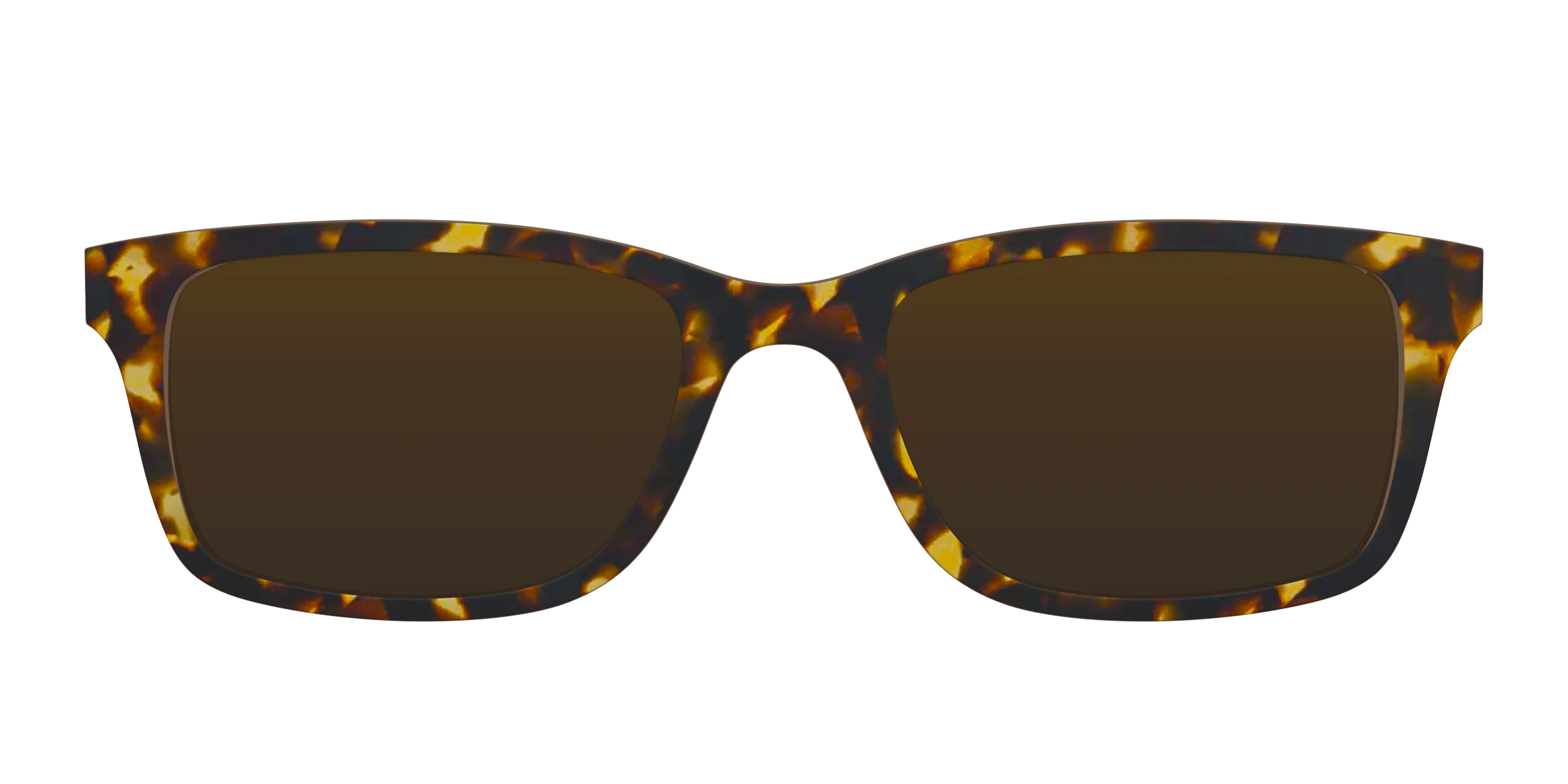 The Polarized Tortoise Sun Top - Image 3