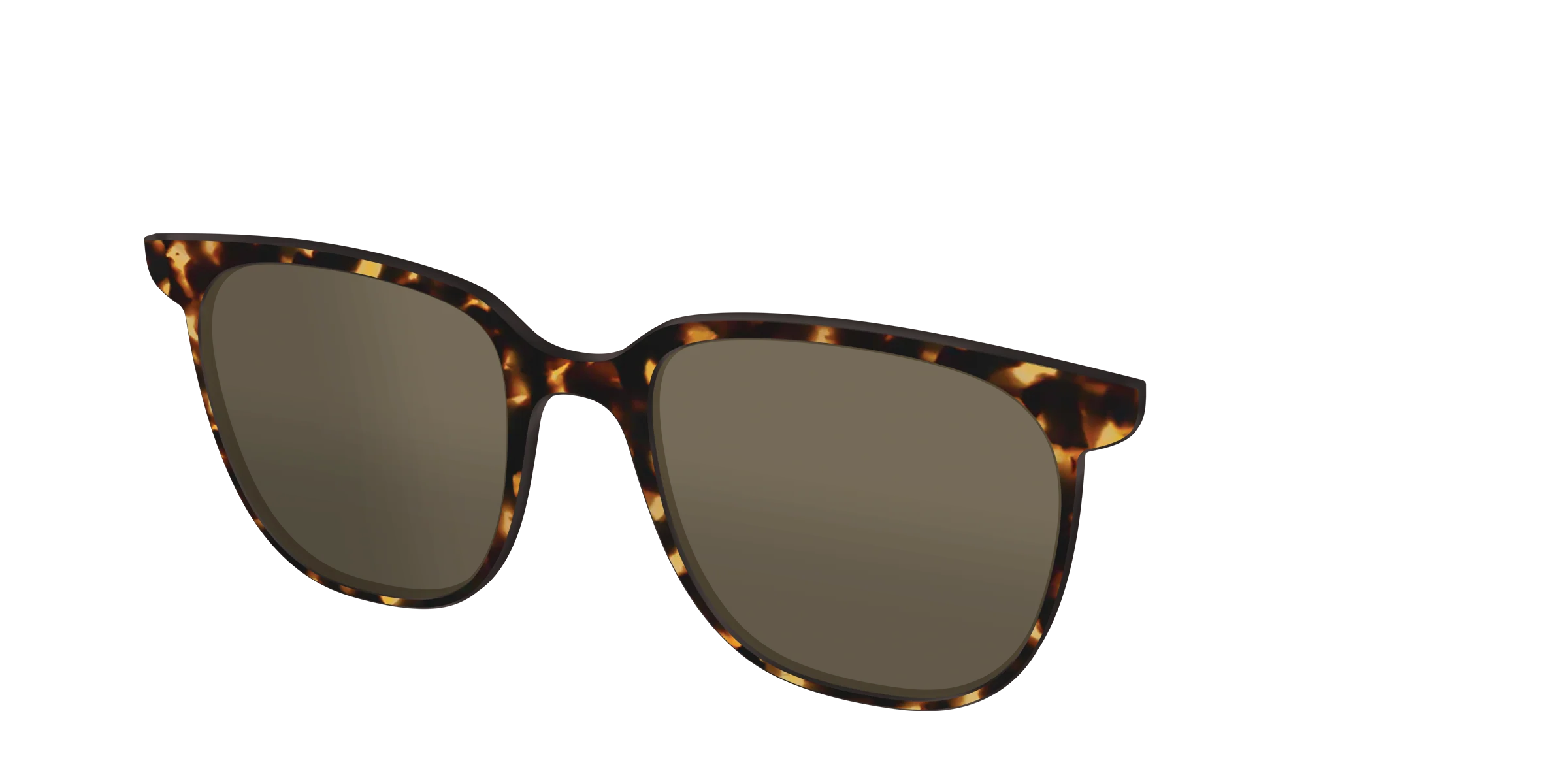 The Polarized Tortoise Sun Top - Image 30