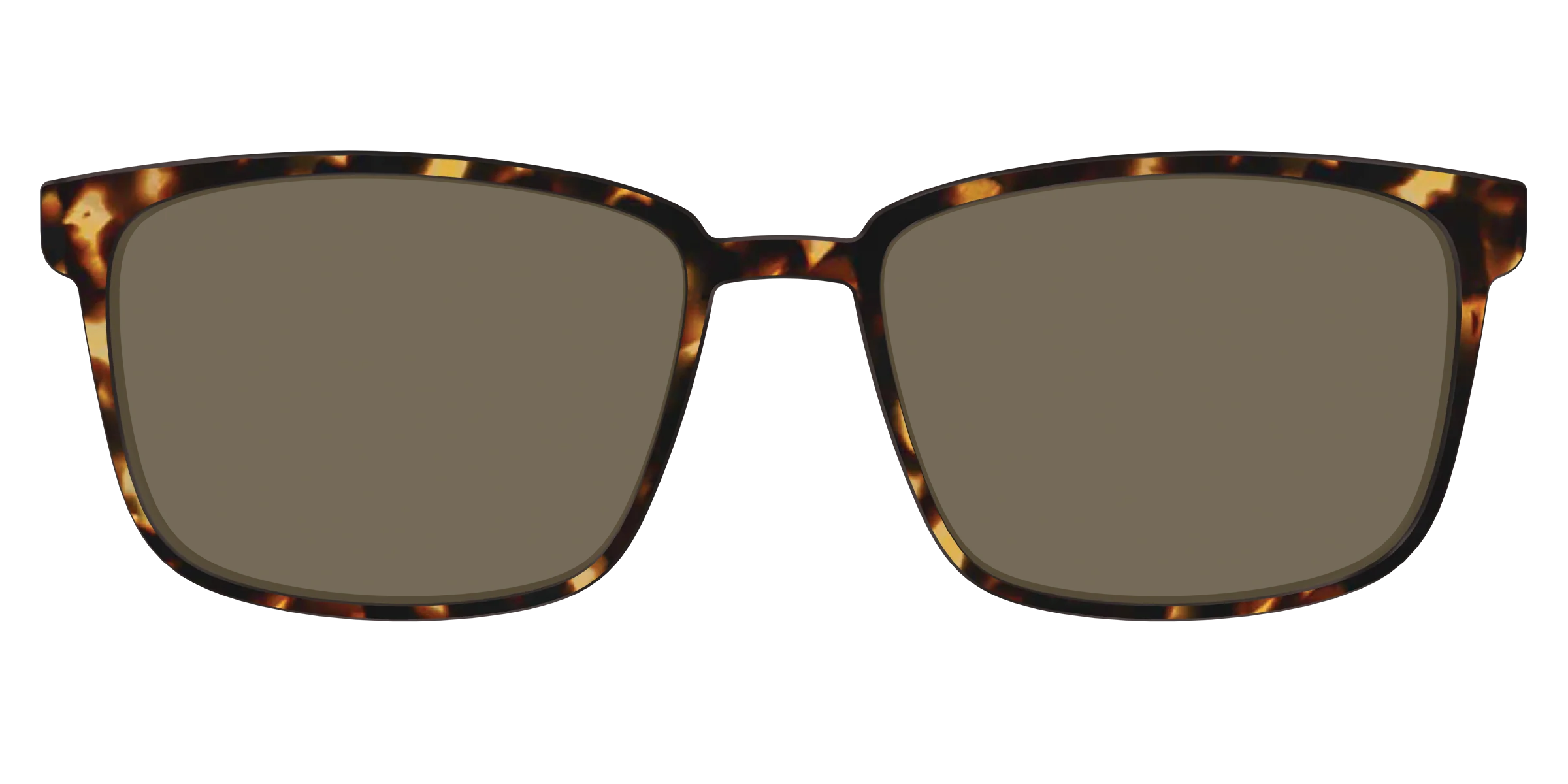 The Polarized Tortoise Sun Top - Image 31