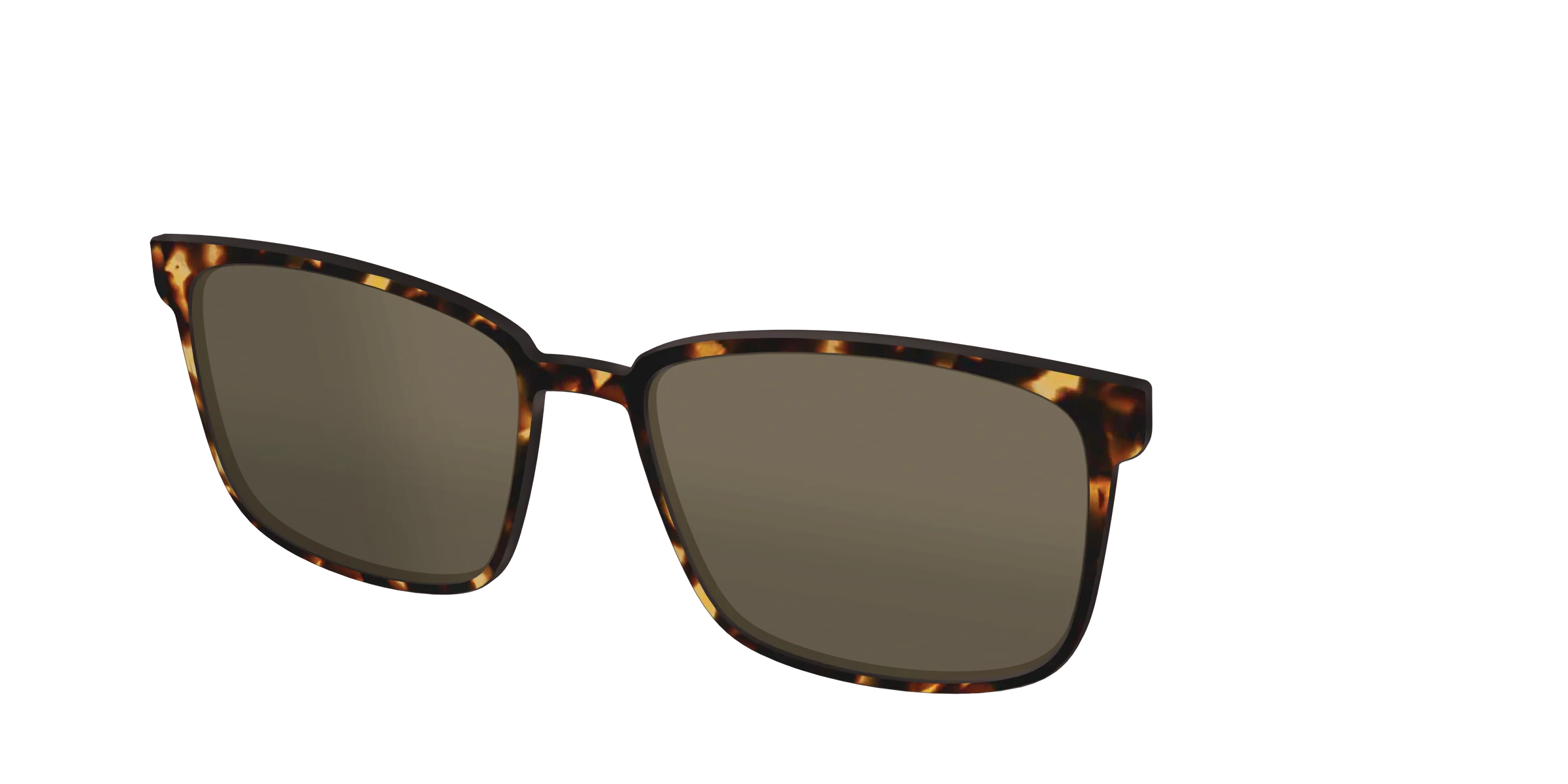 The Polarized Tortoise Sun Top - Image 32