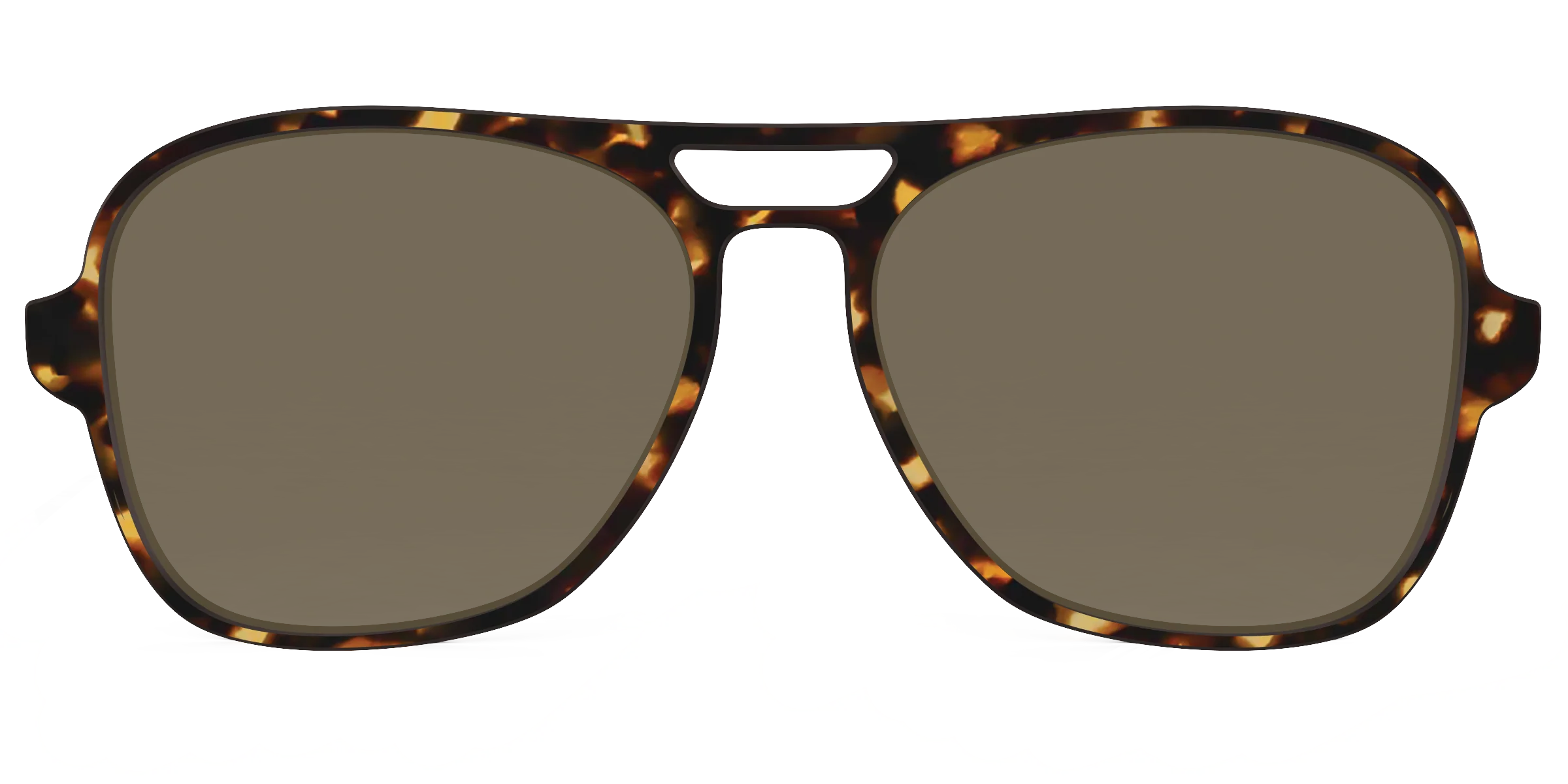 The Polarized Tortoise Sun Top - Image 33