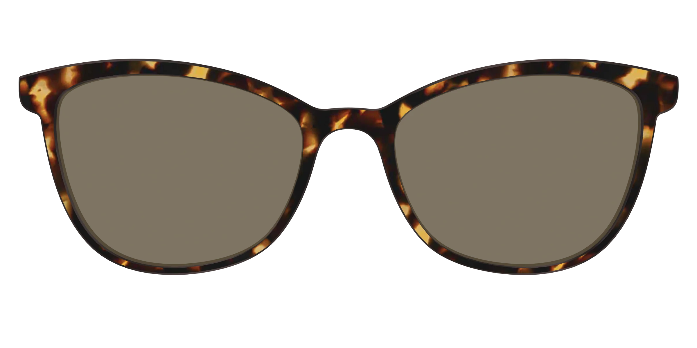 The Polarized Tortoise Sun Top - Image 35