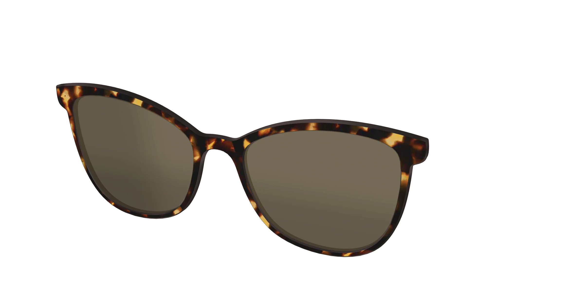The Polarized Tortoise Sun Top - Image 36