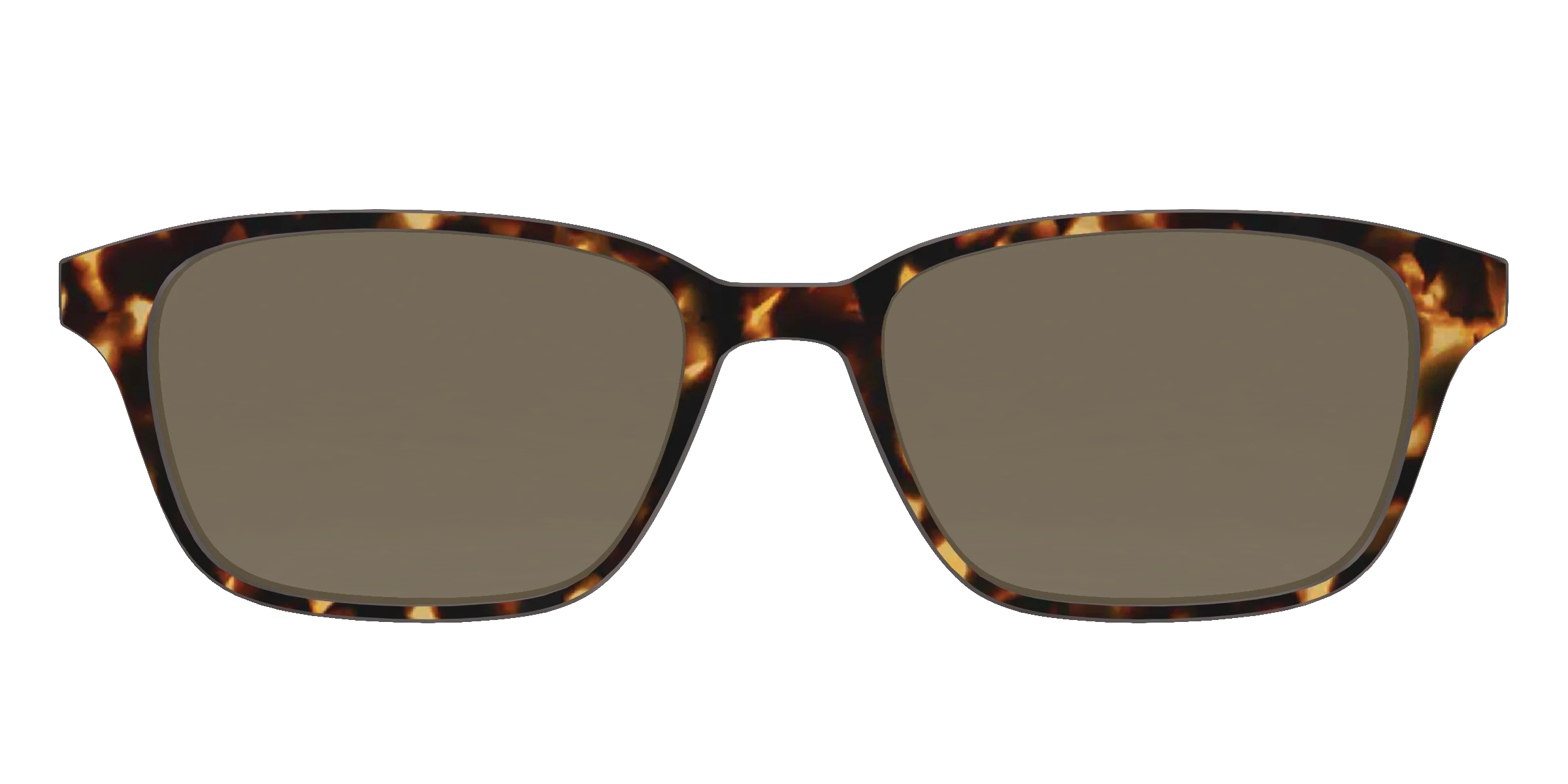 The Polarized Tortoise Sun Top - Image 37