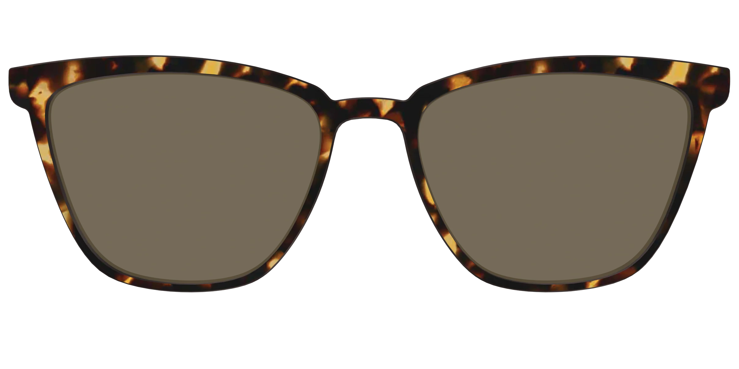 The Polarized Tortoise Sun Top - Image 39